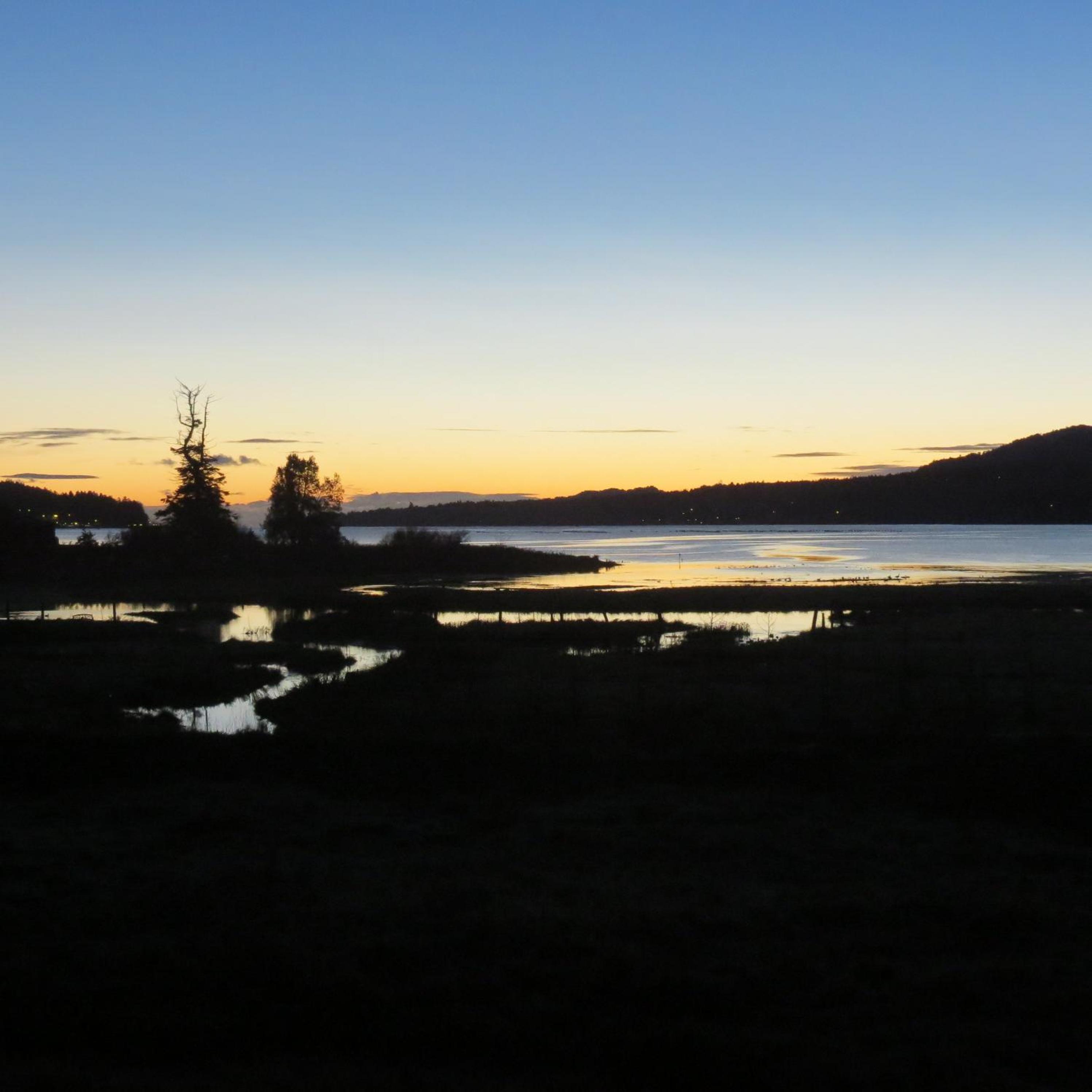 Inn the Estuary