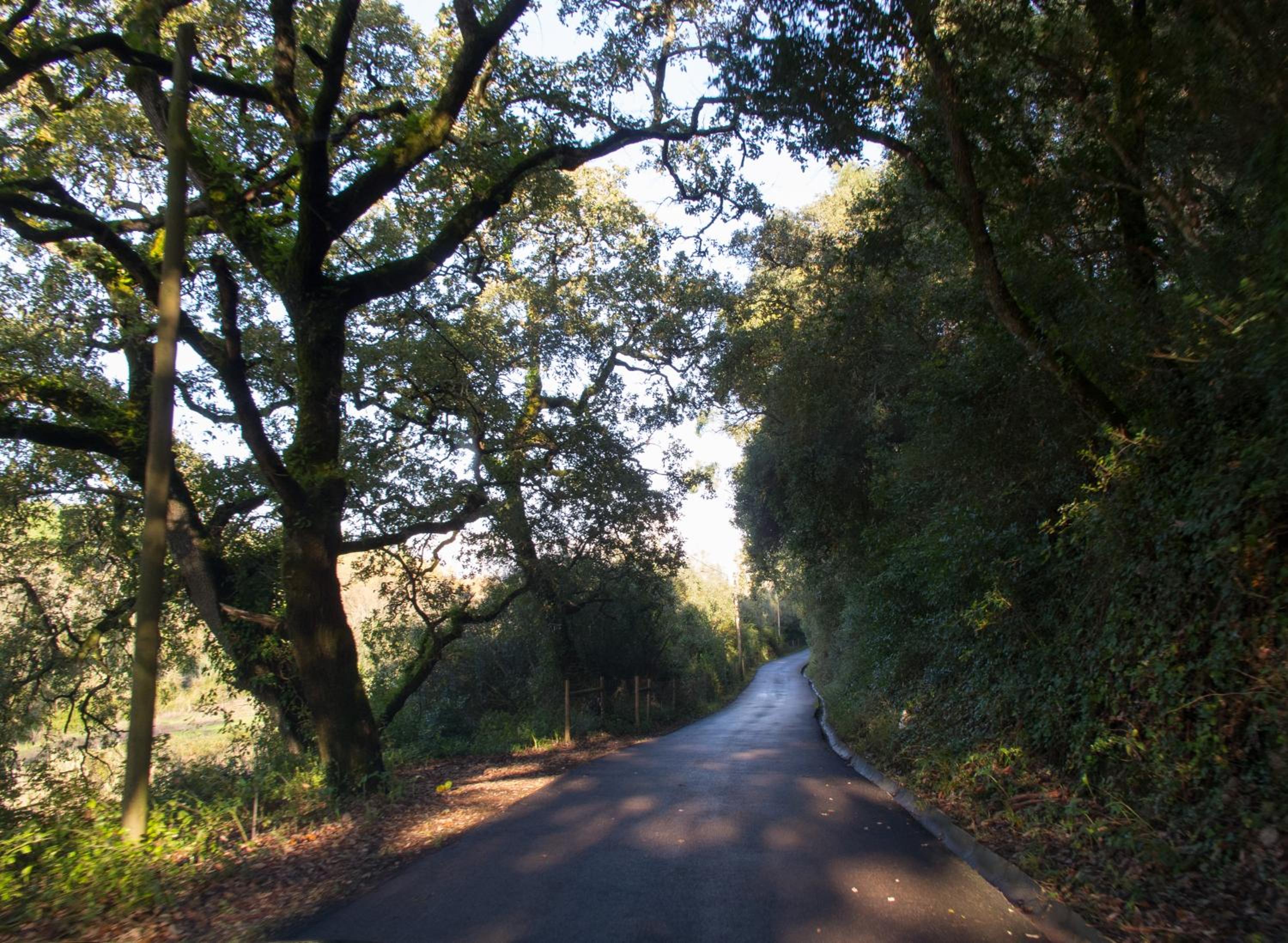 Quinta de Sao Tadeu
