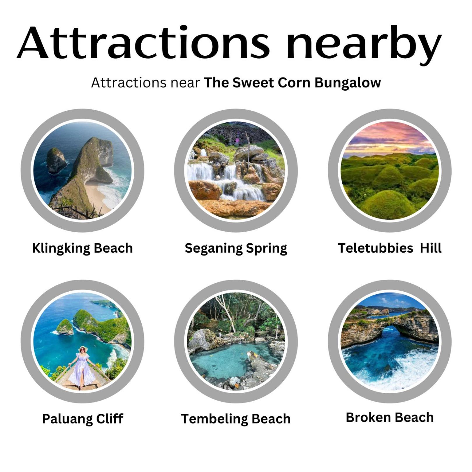 The Sweet Corn Bungalow