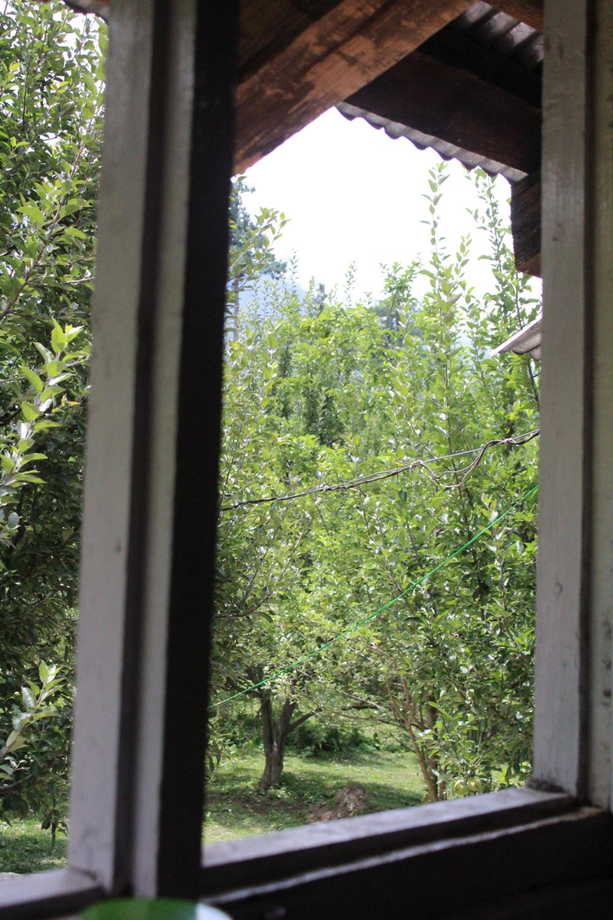 Photo 21
