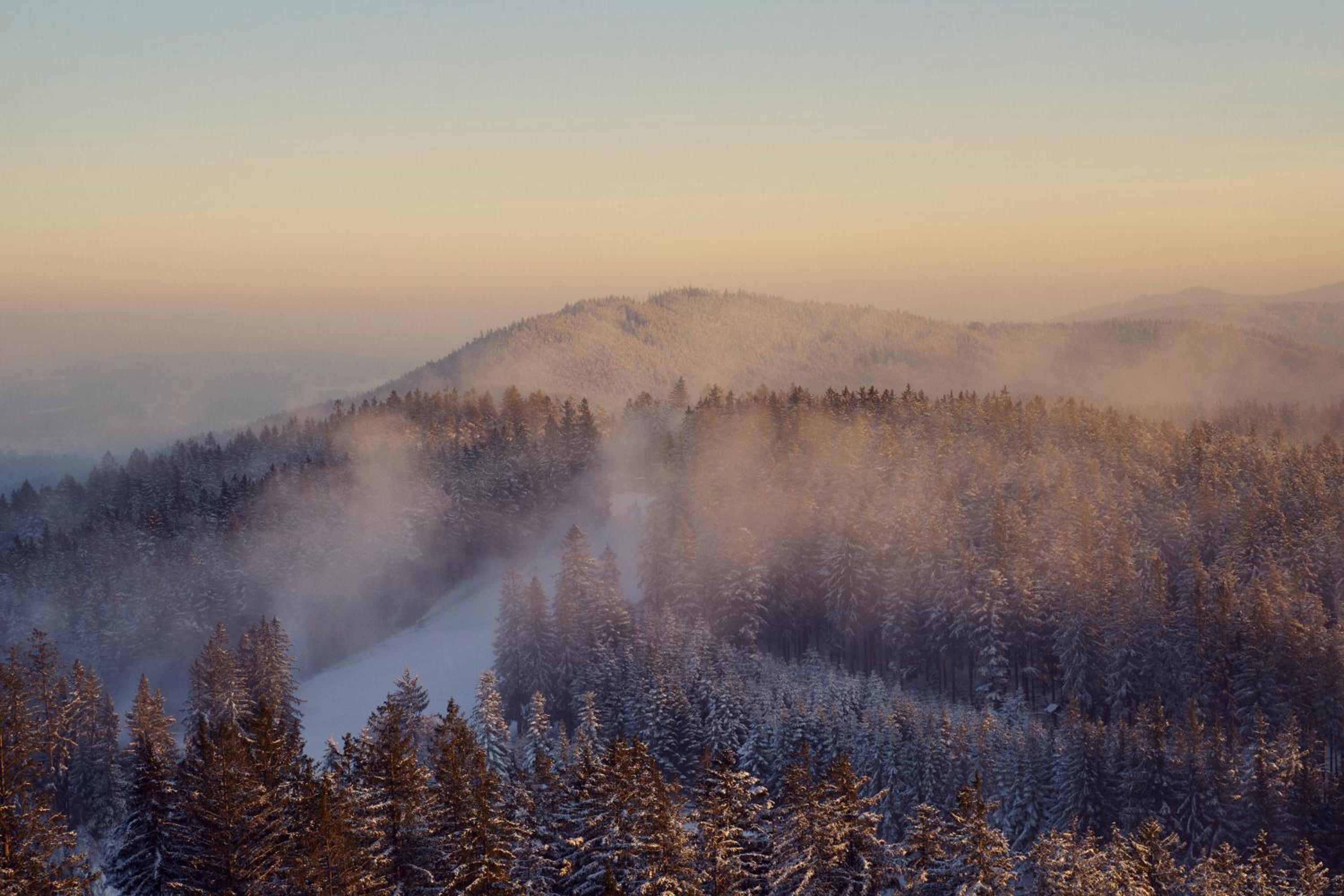Vila nad jezerem Lipno