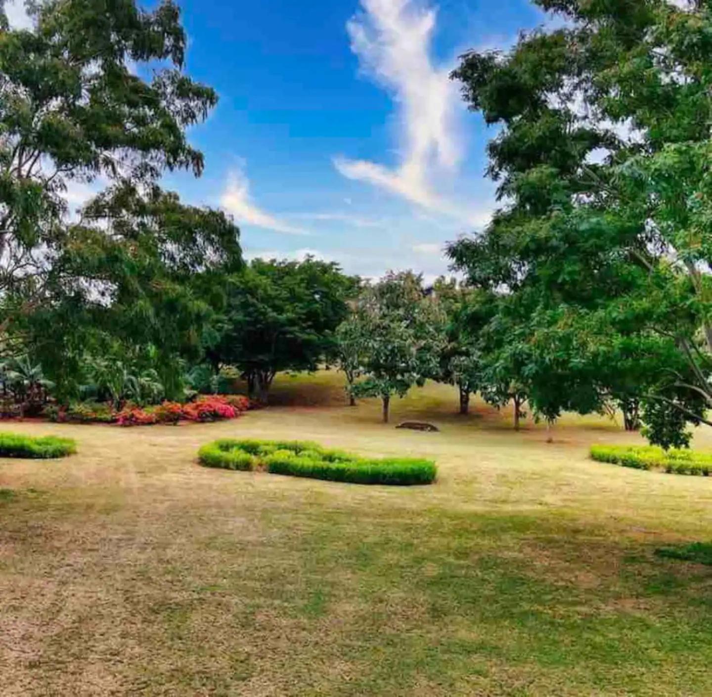 Stunning and Luxurious Villa at Royal Park Balaclava