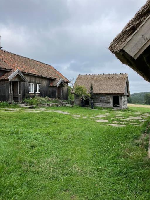 Photo 48