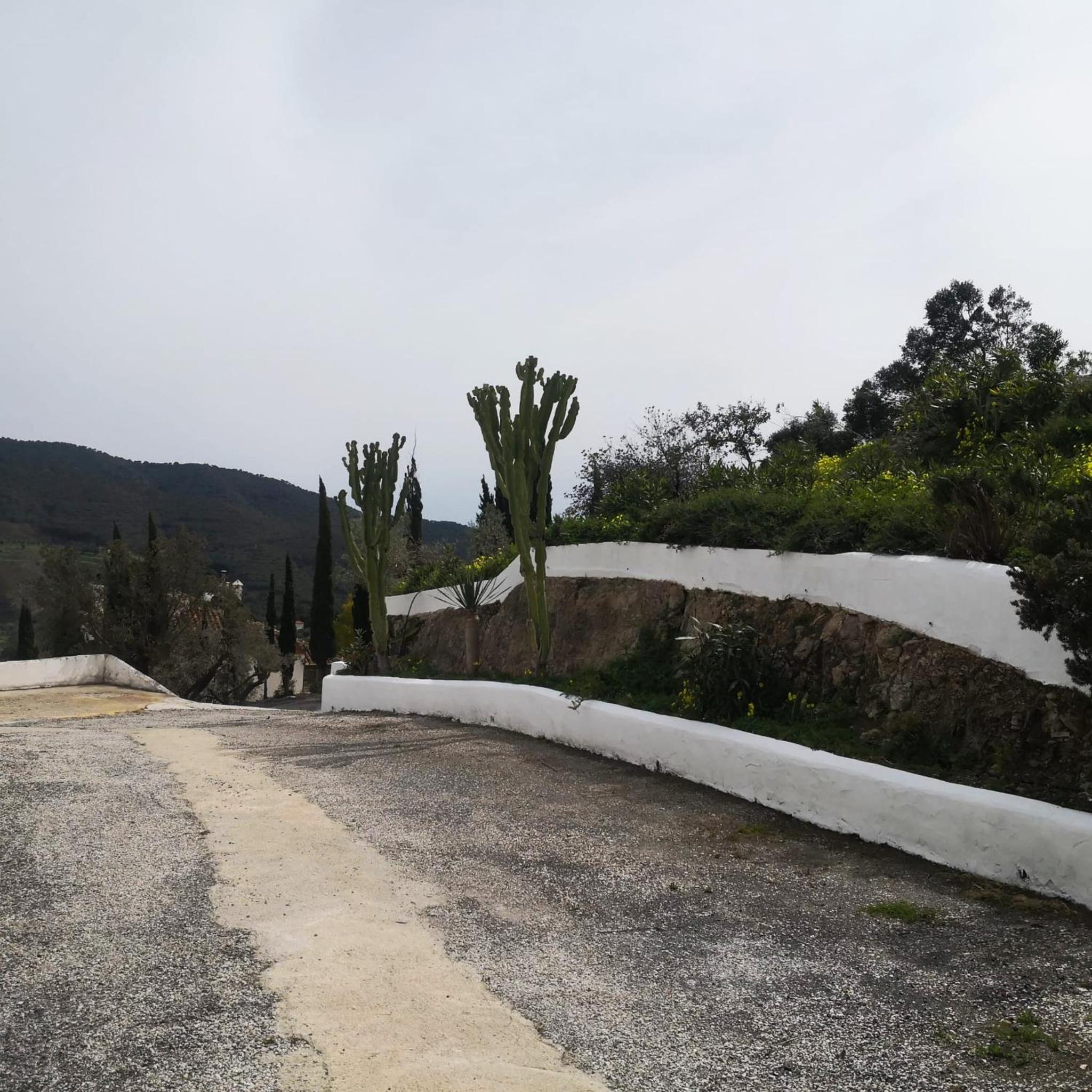 Los Alcornoquillos