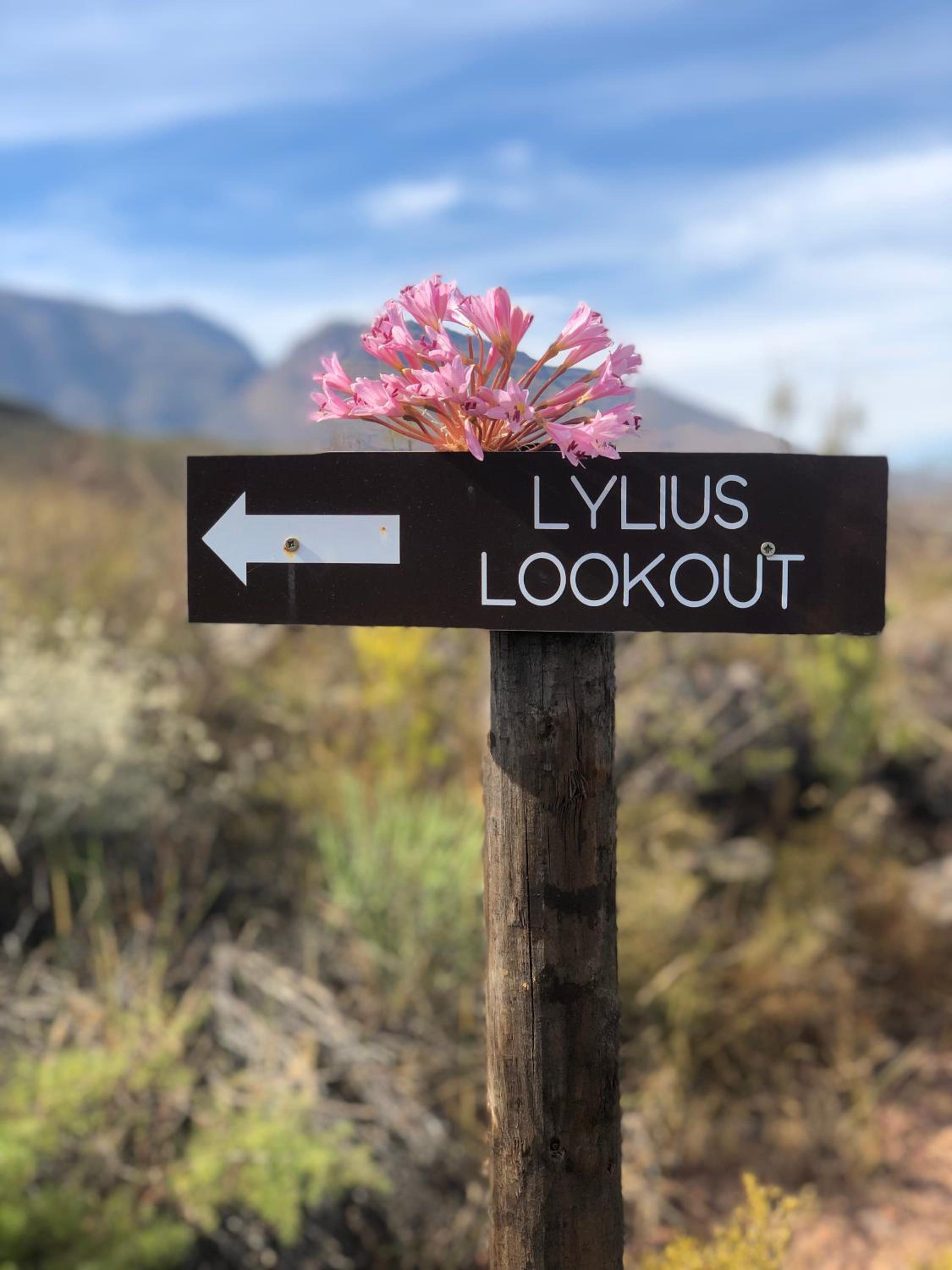 Lylius Cottage and Campsites