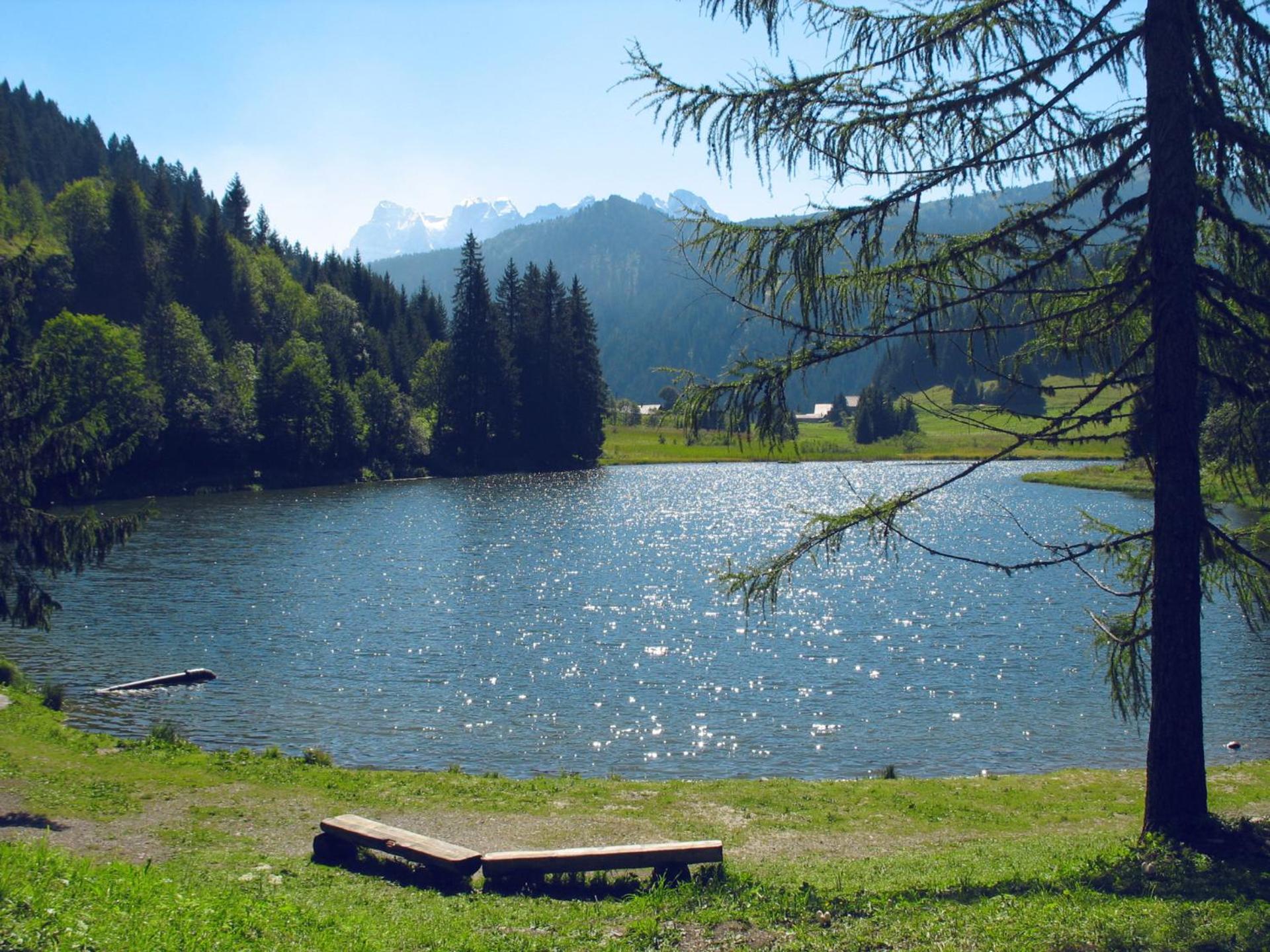 Appartement plus Pool, Morgins, Portes du Soleil