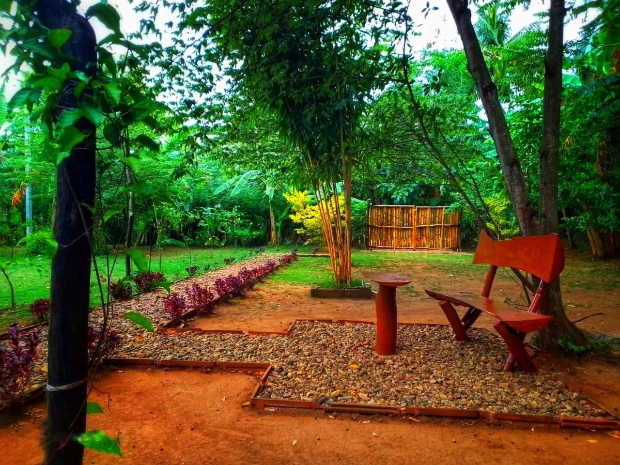Banana Shade Cottage