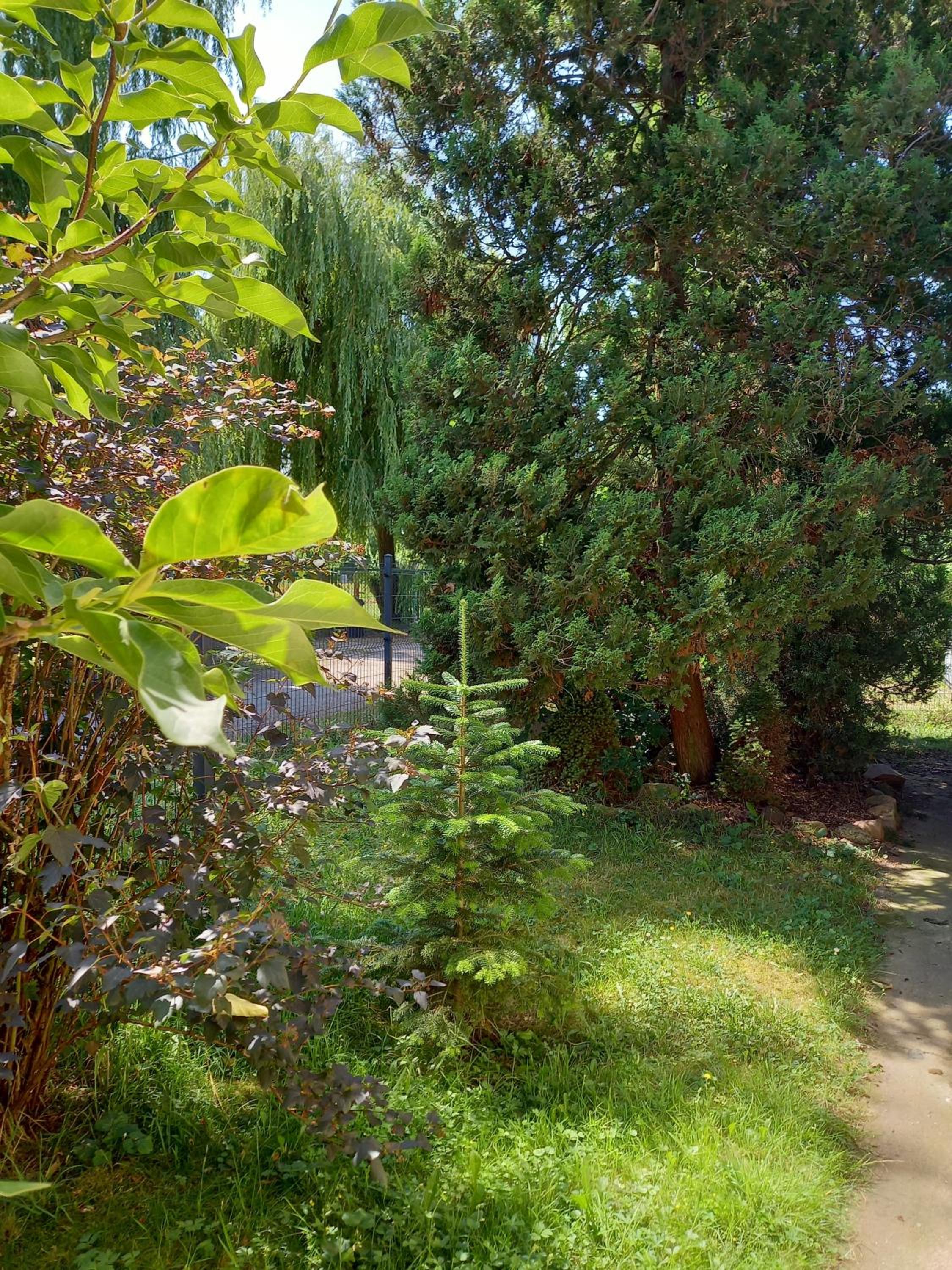 Owocowy Domek view 2