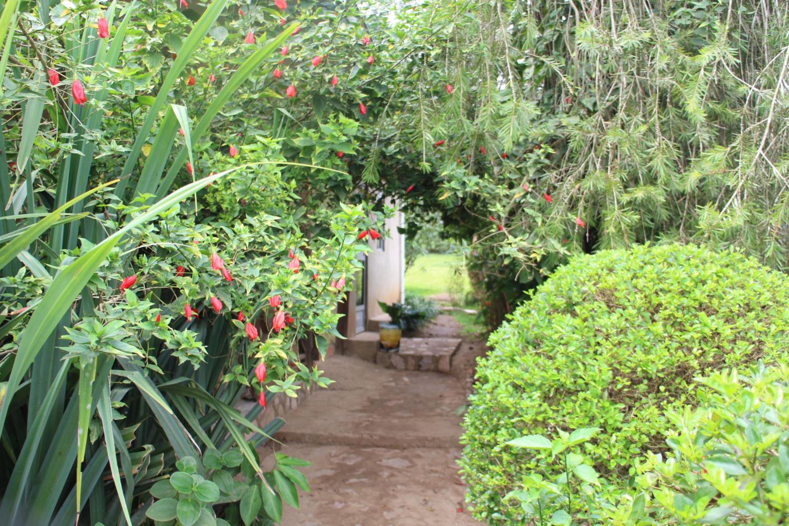 Photo 11