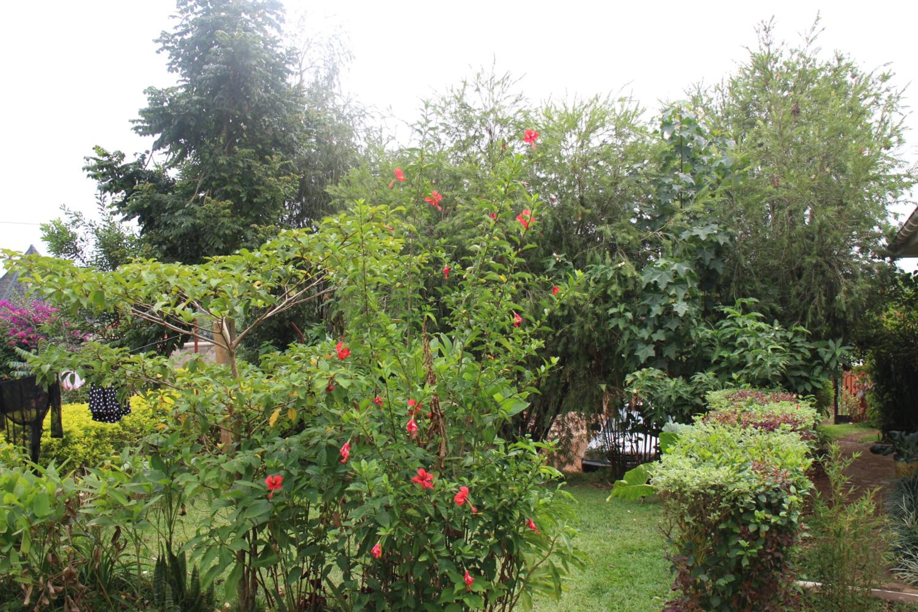 Photo 22