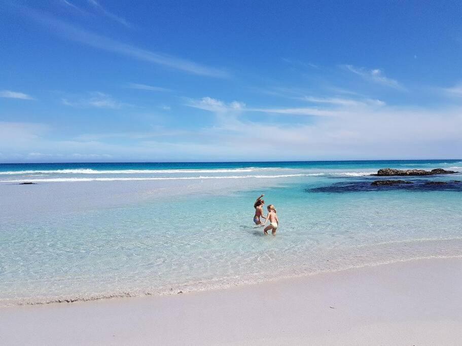 Iris, Scarborough beach bliss view 3