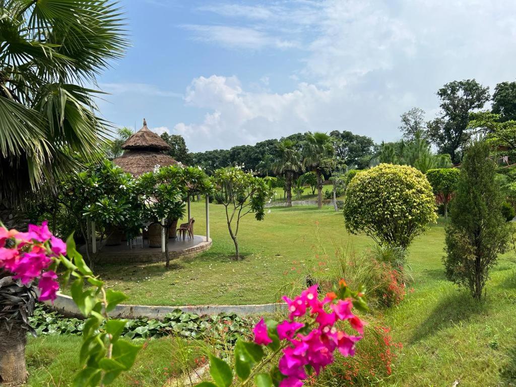 The Dream Forest, Banquet & Resorts view 3