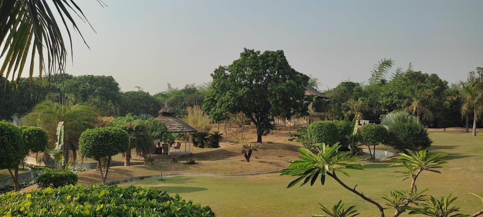 The Dream Forest, Banquet & Resorts view 5