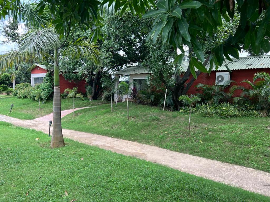 Photo 9