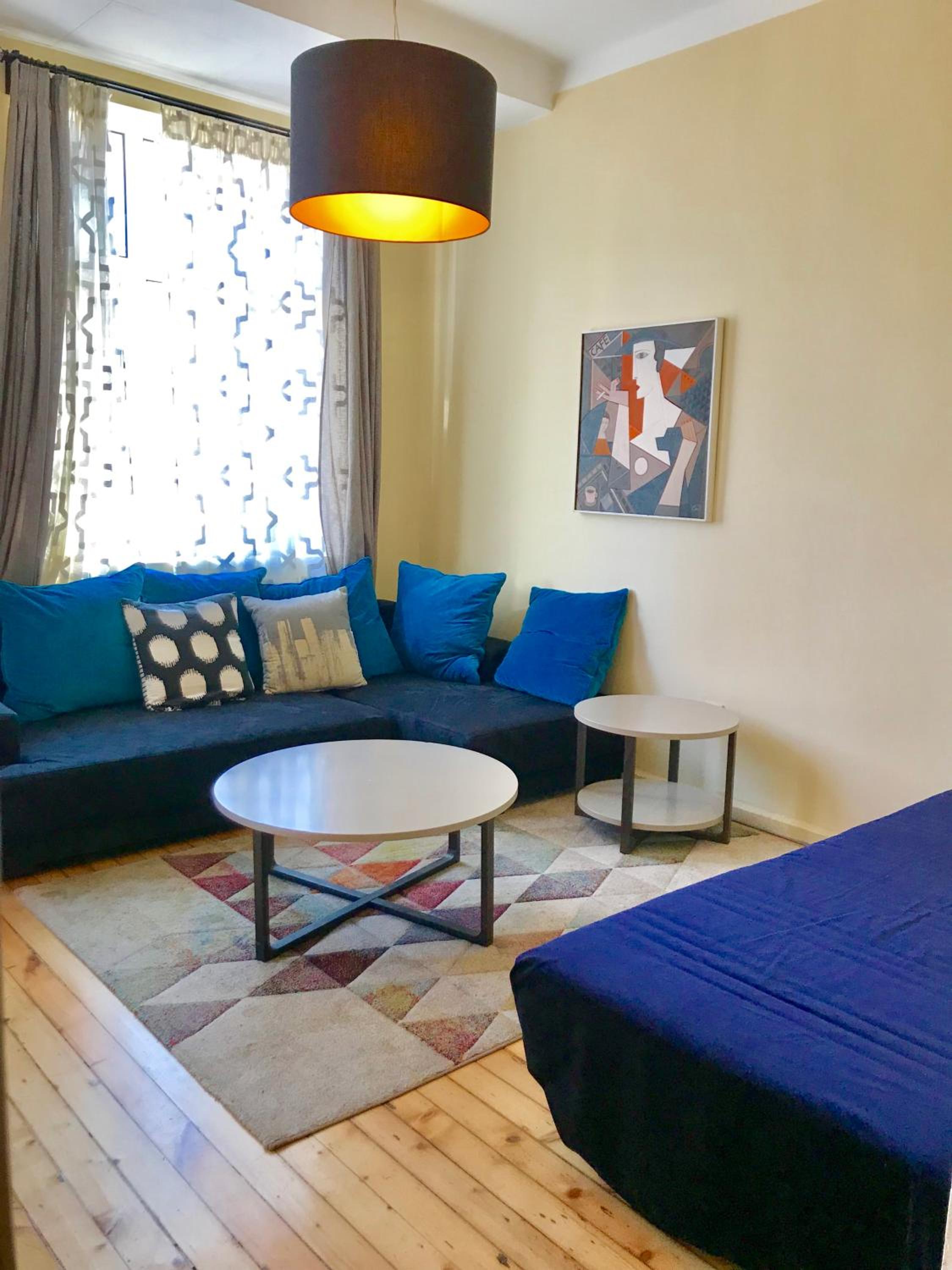 Charming Apartment Sofia 100m² view 5