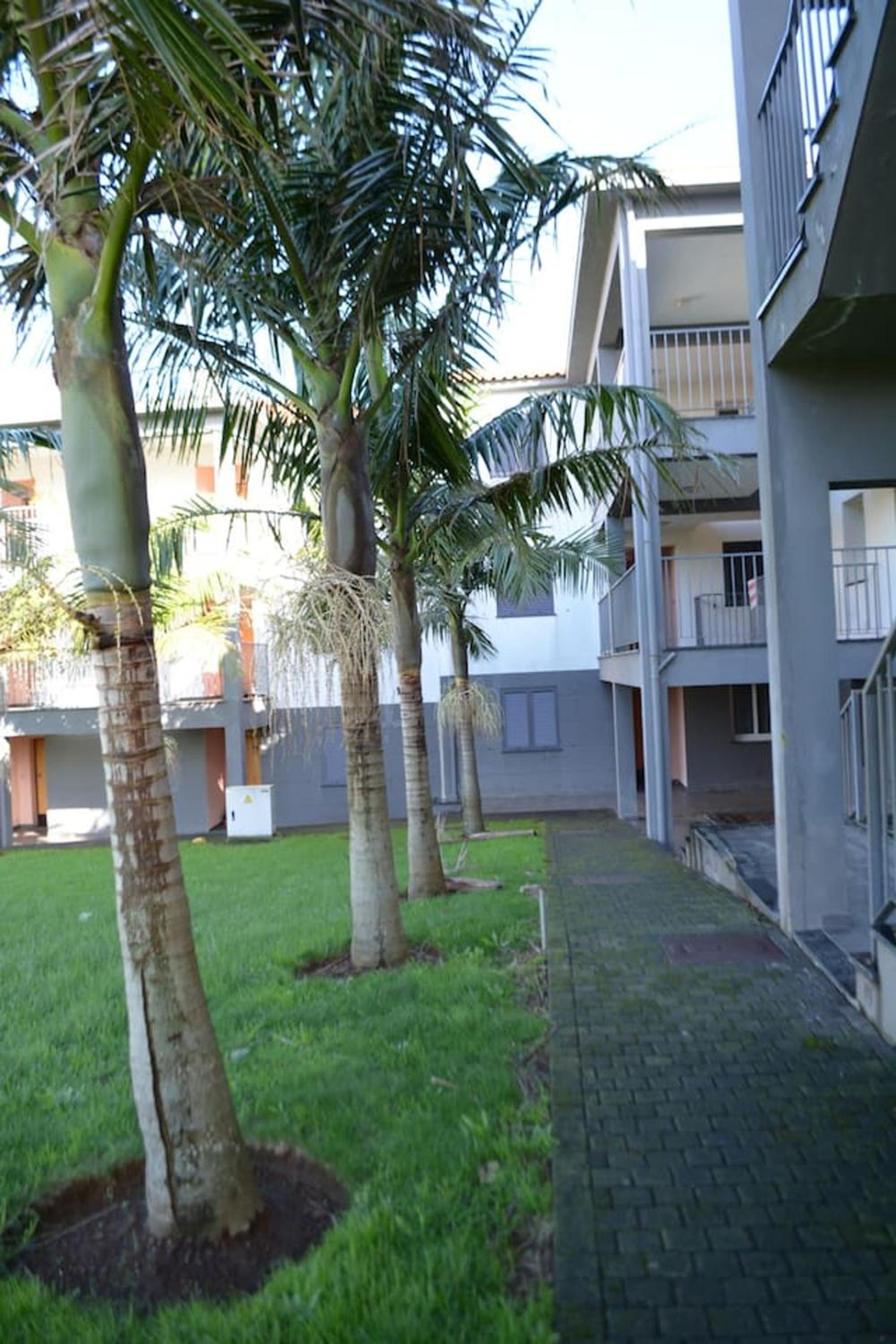 Chic Apartment Ribeira Grande 60 m² + balcony