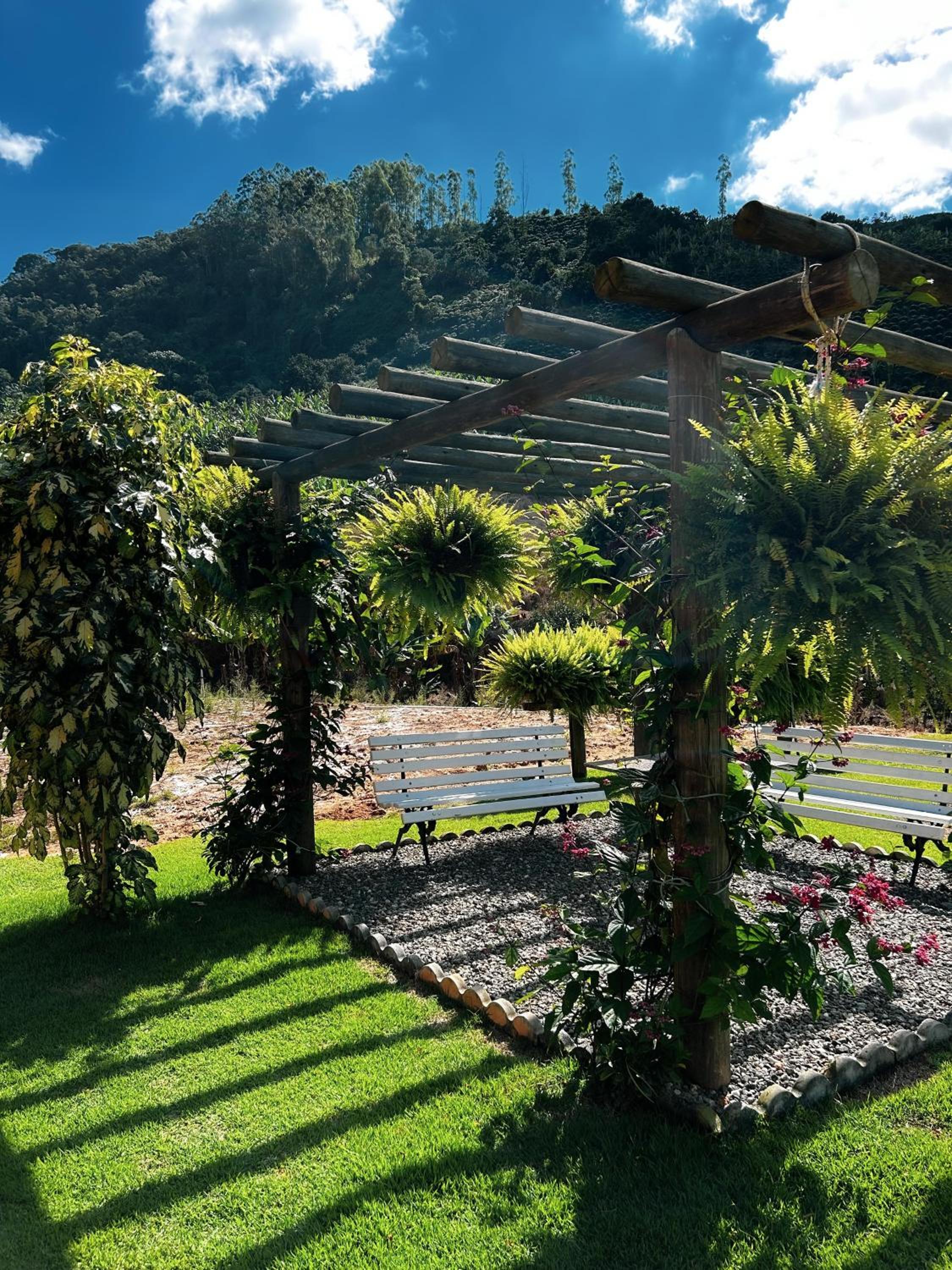 Chalé Casa em Vargem Alta