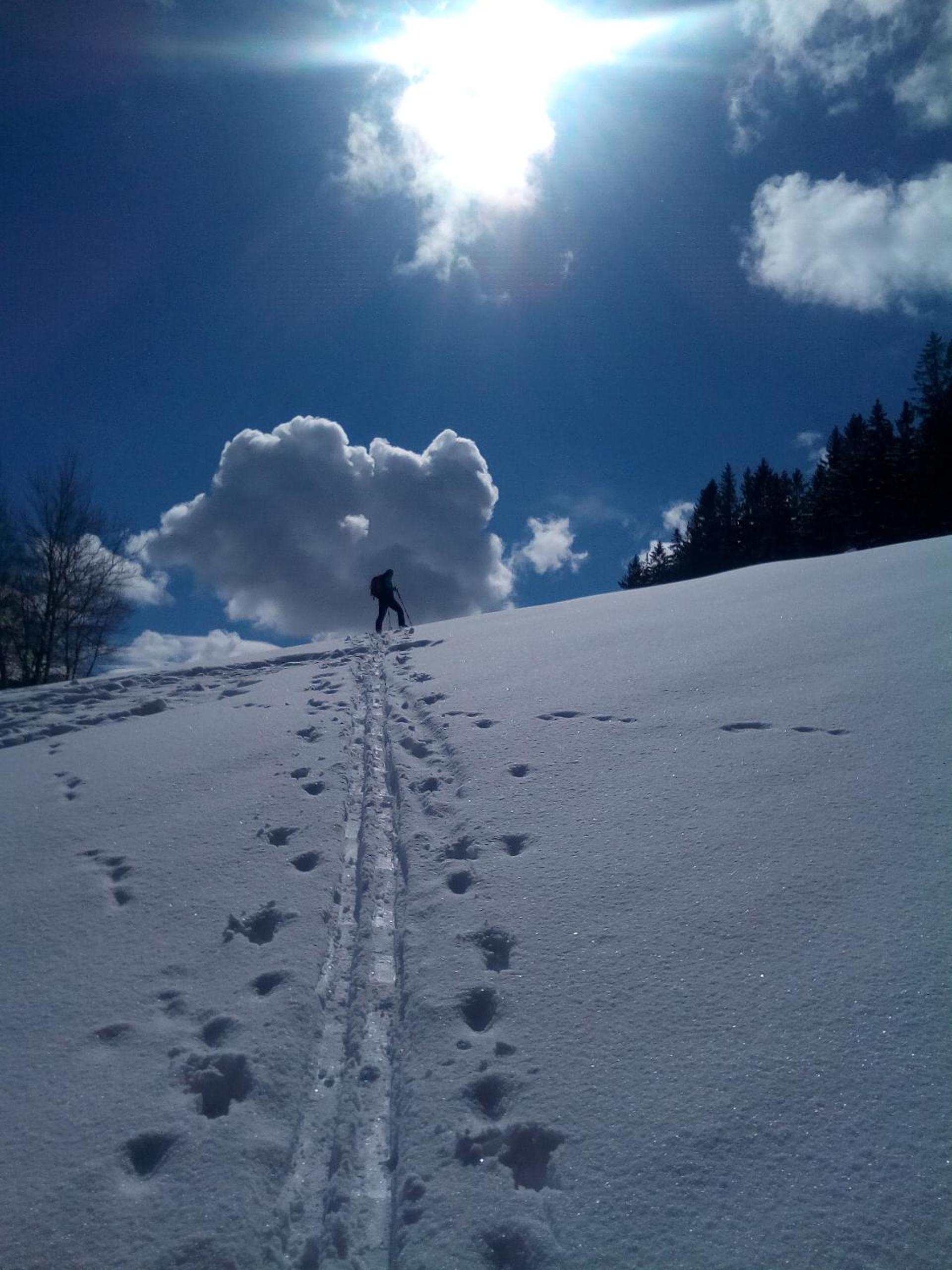 Apartmán Stodola2 Harrachov