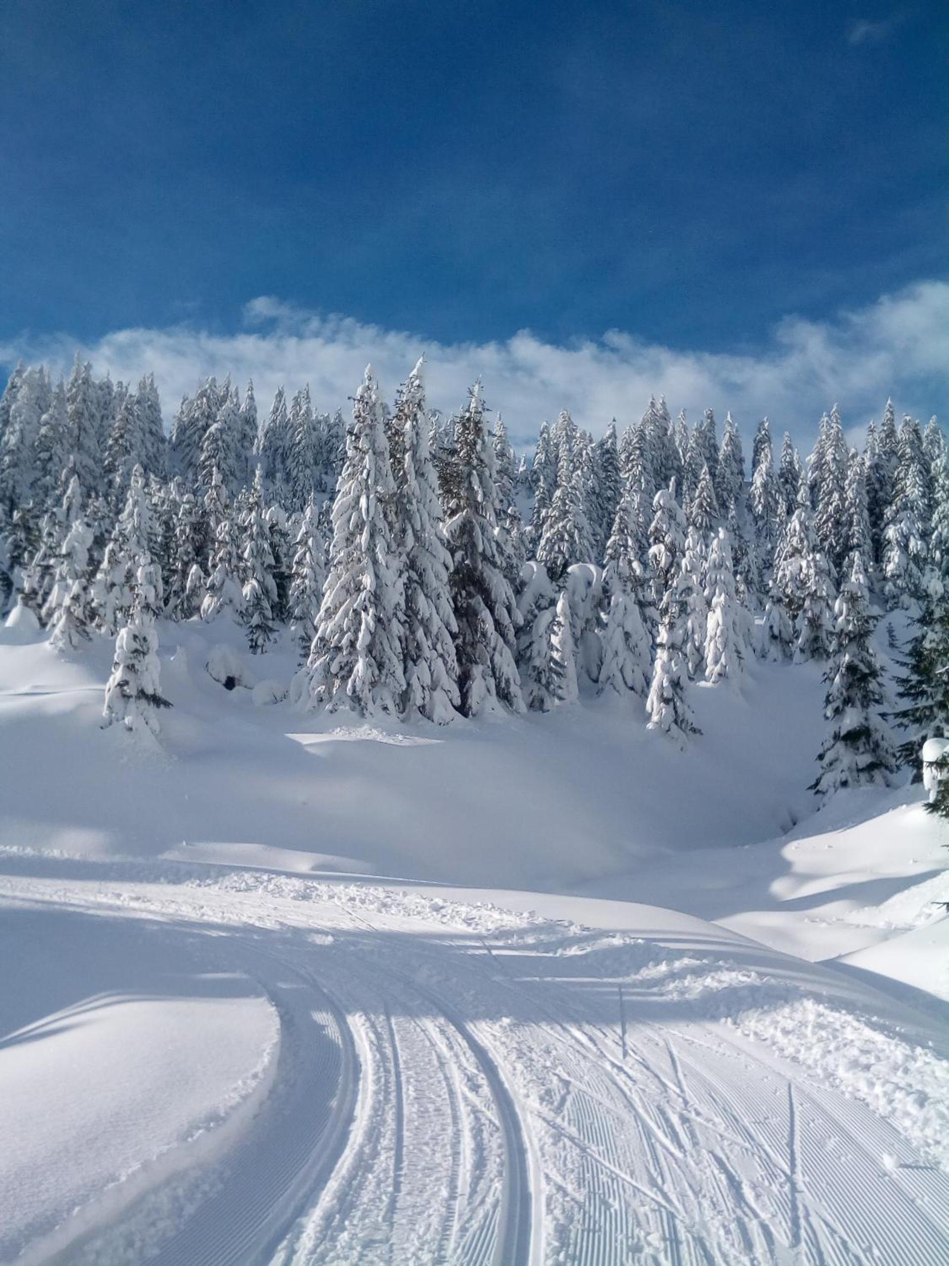 Apartmán Stodola2 Harrachov