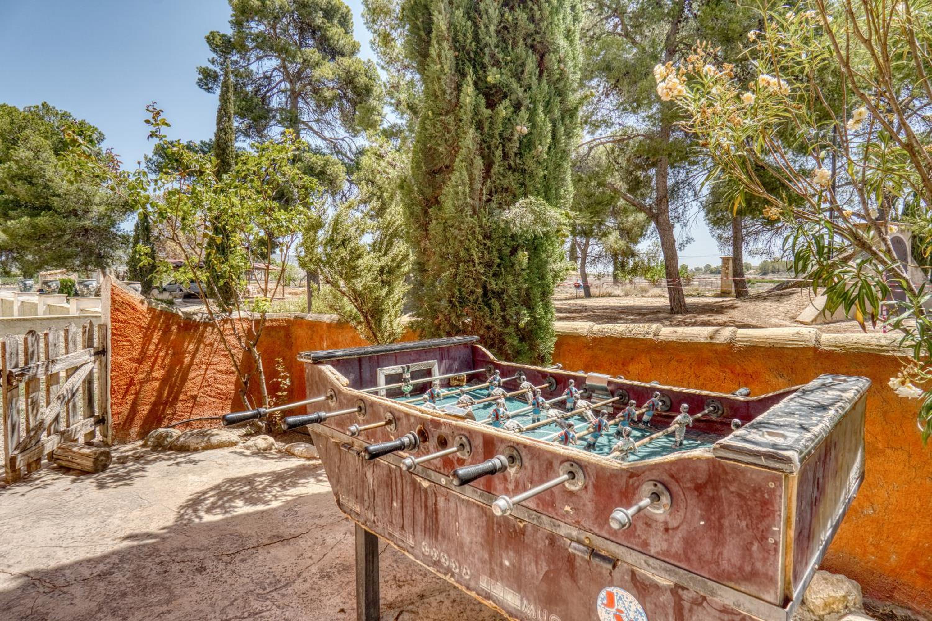 activities & amenities