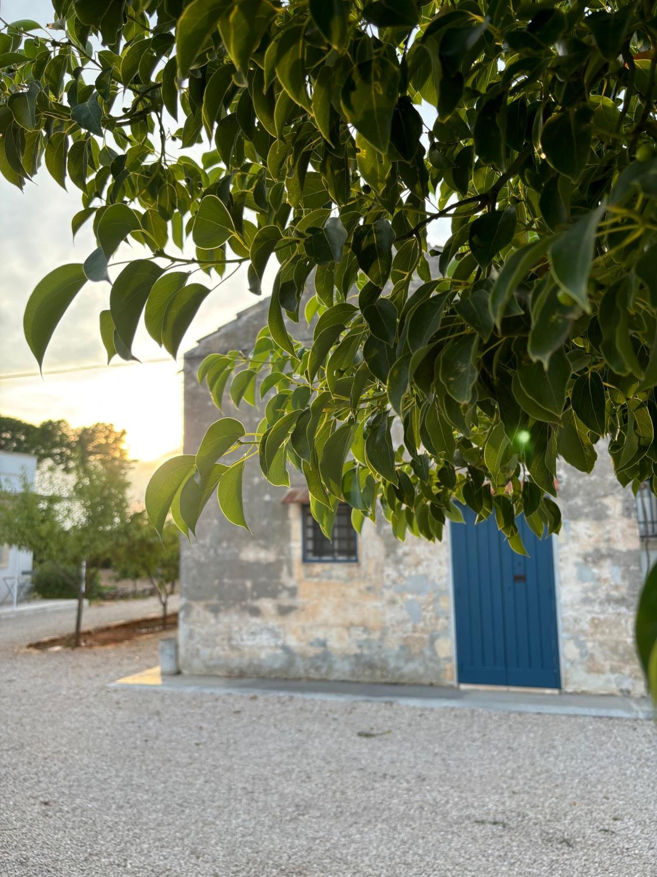 Tenuta Villa Vittoria