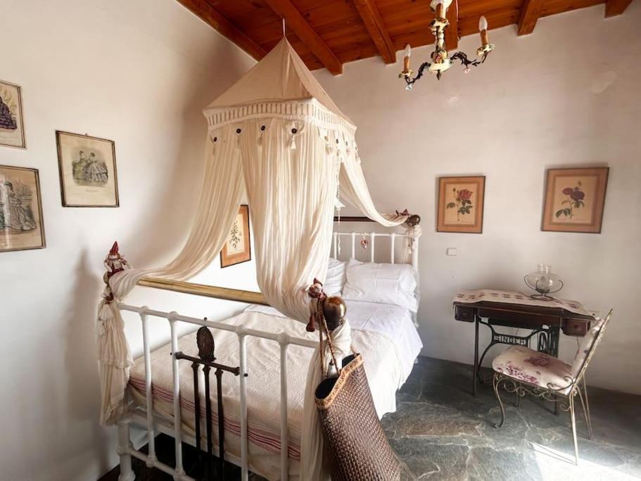 Villa Amalia