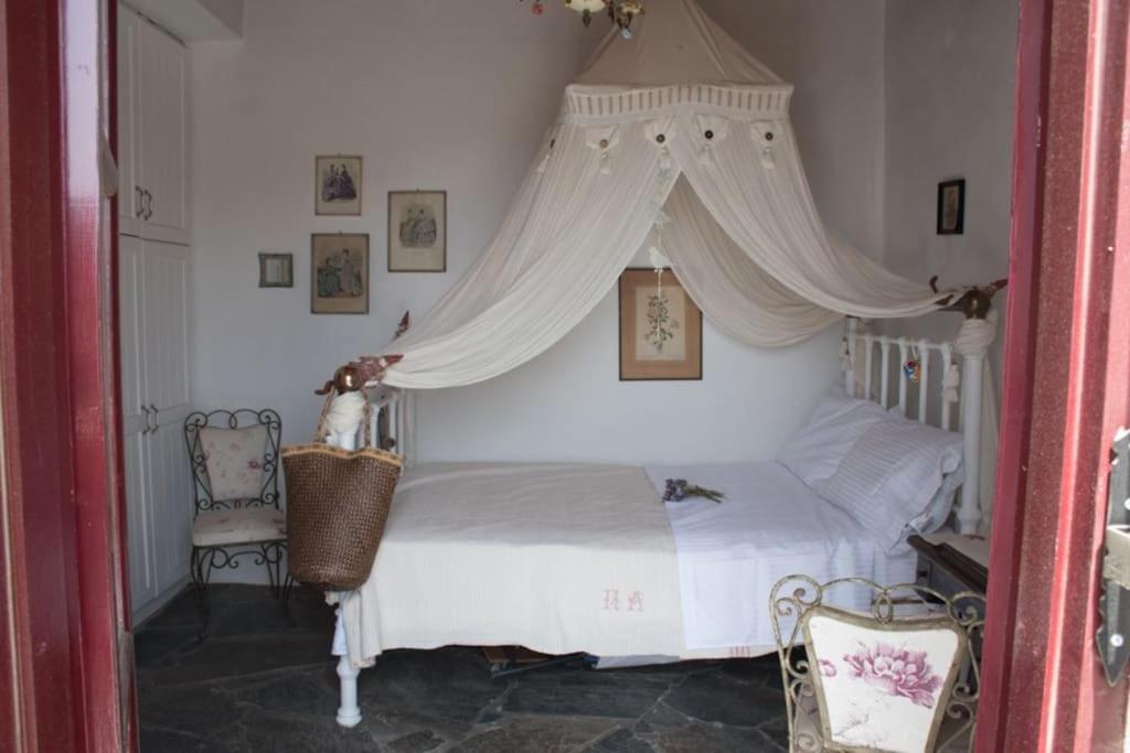 Villa Amalia