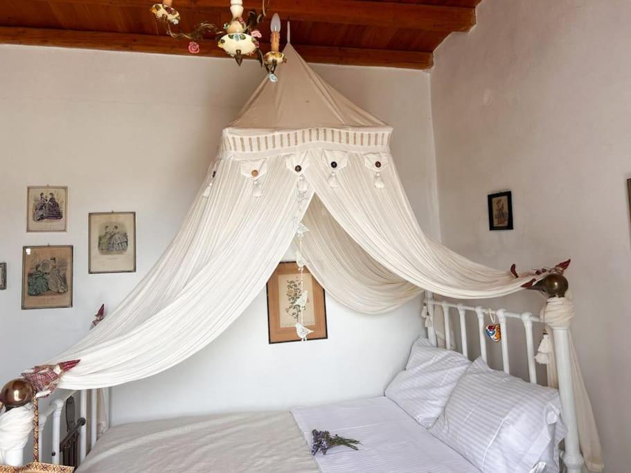 Villa Amalia