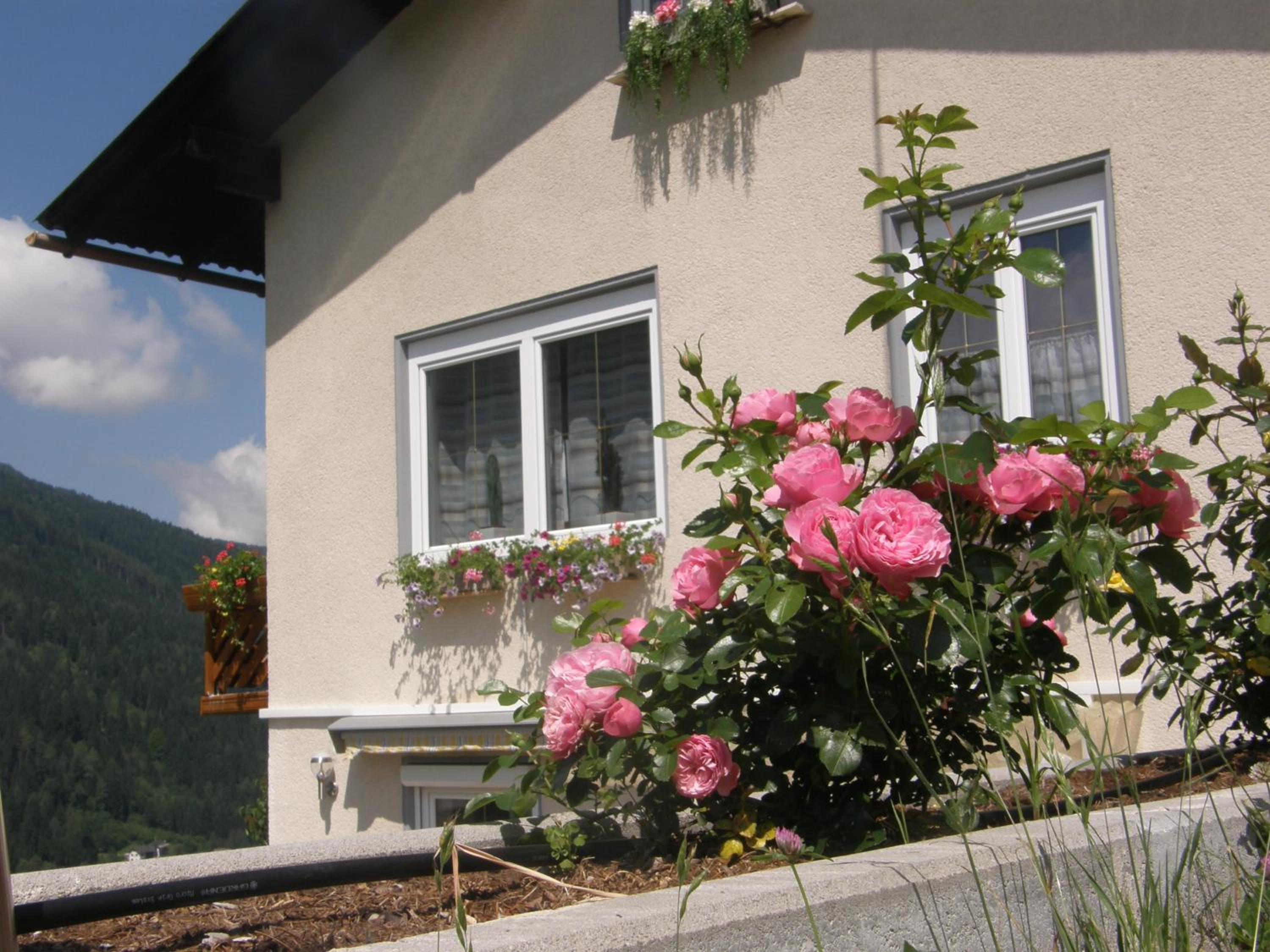 Ferienwohnung Brennseeblick
