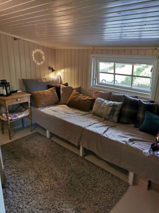 Photo 43
