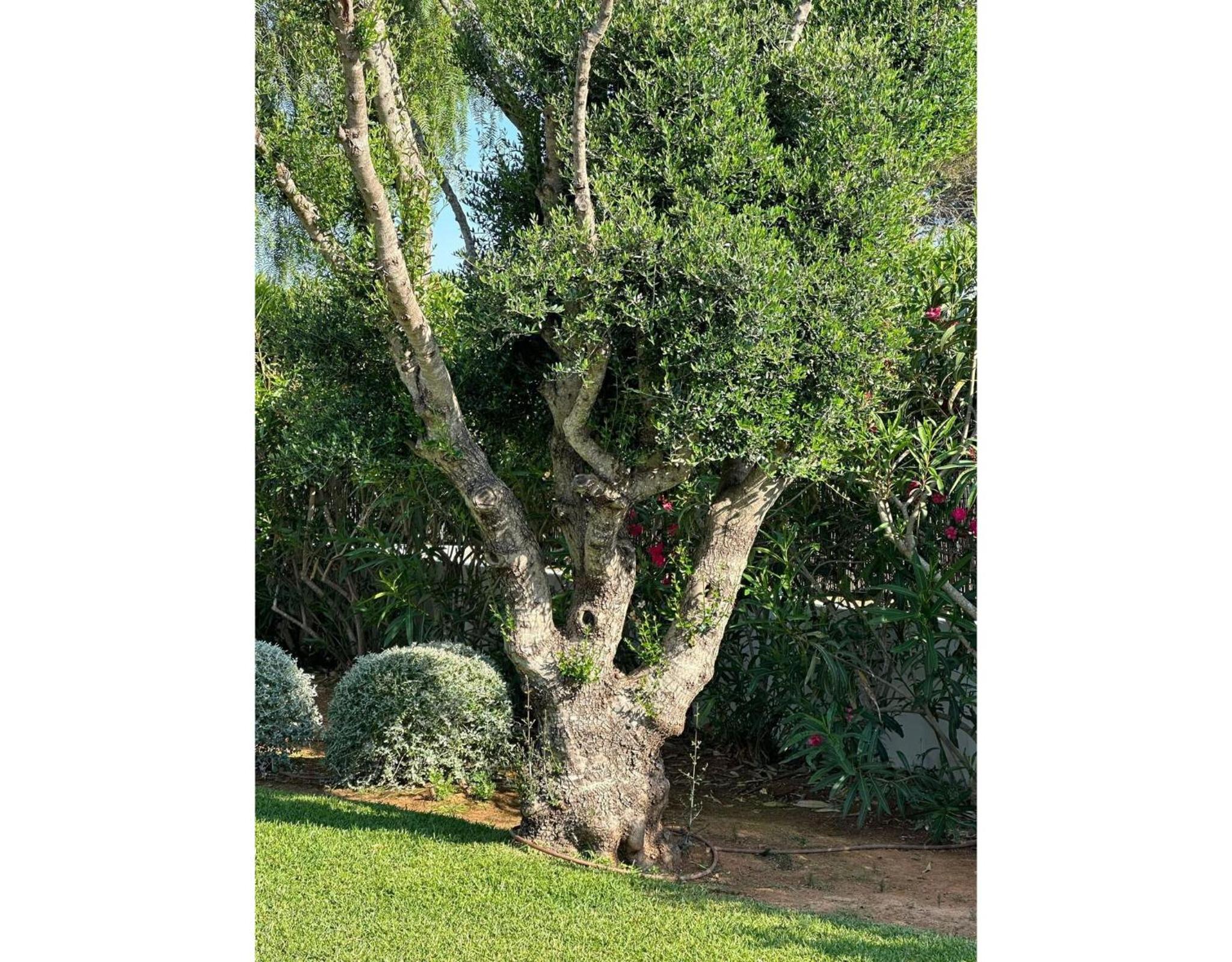 Villa Des Riu