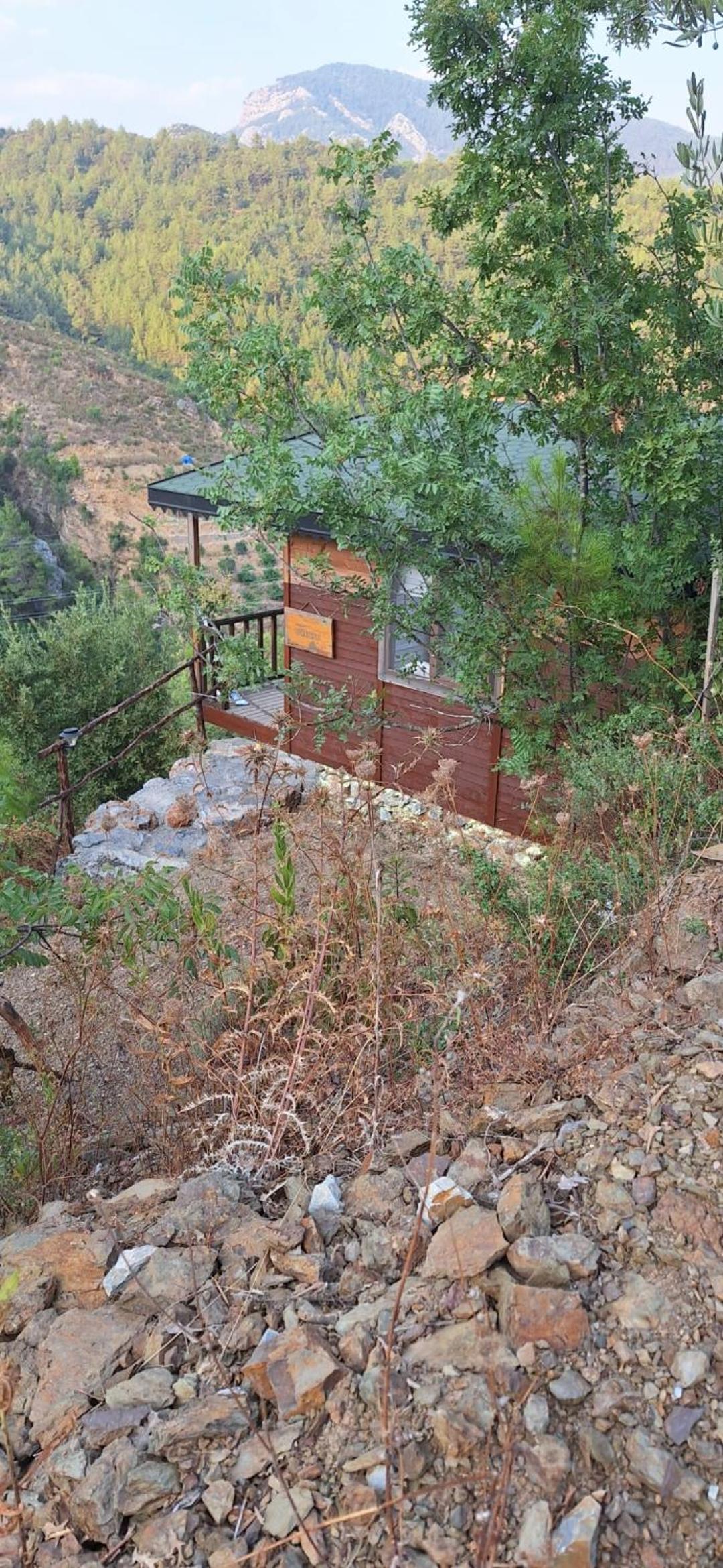 Photo 18