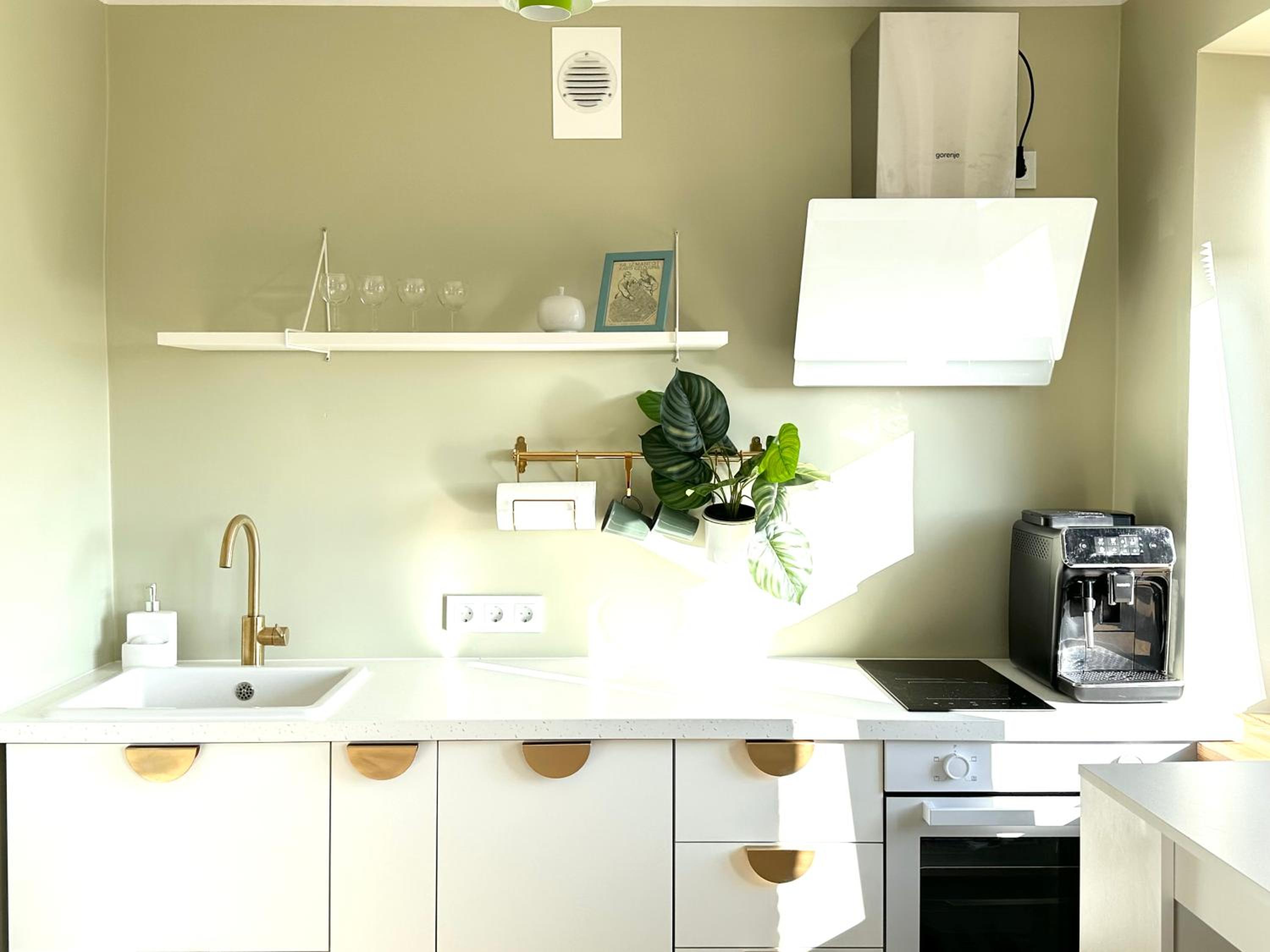 Green studio Valmiera