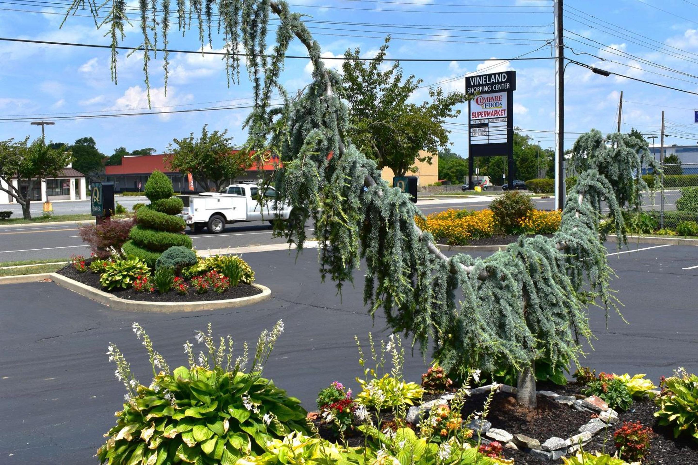 Quality Inn Vineland view 4