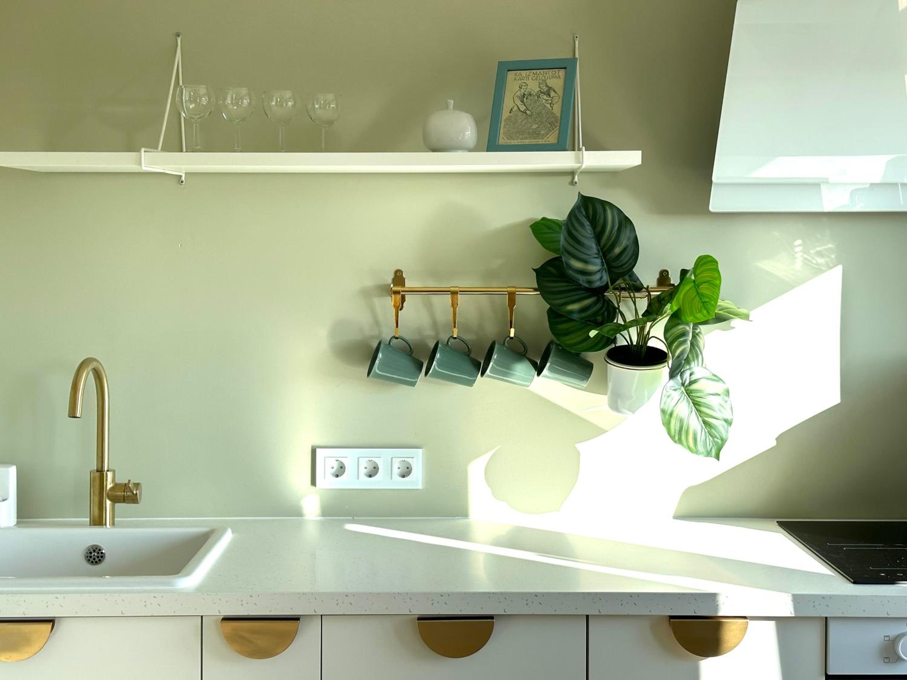 Green studio Valmiera