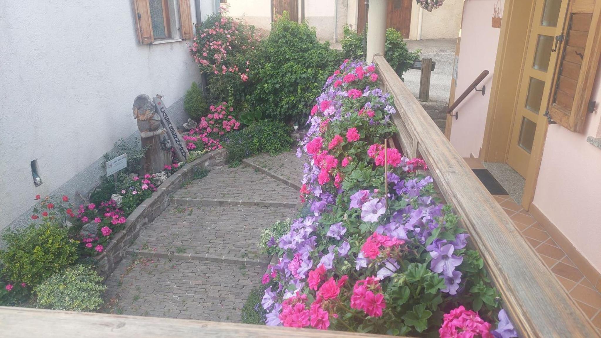 Photo 24