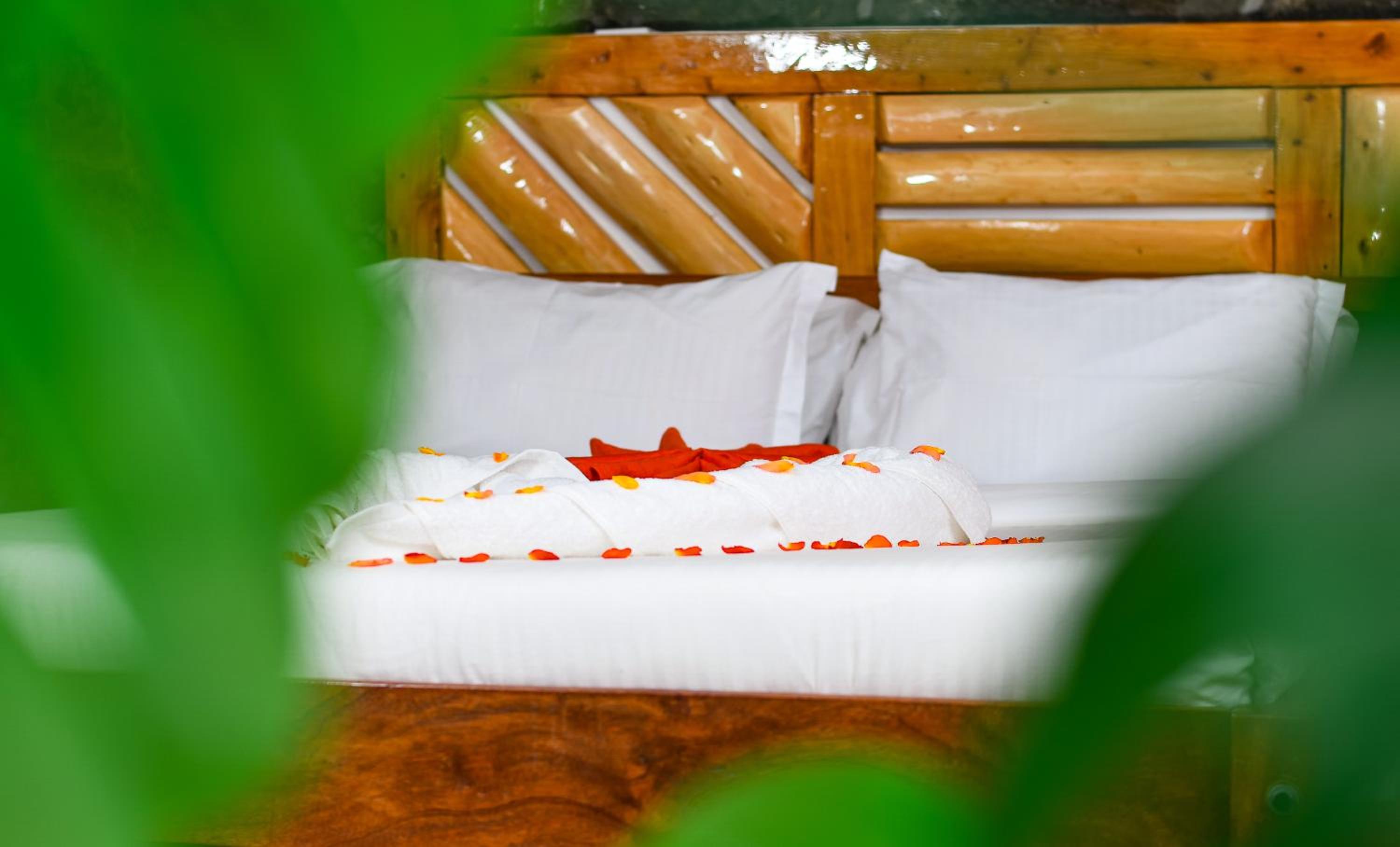 Dovenest Lodge
