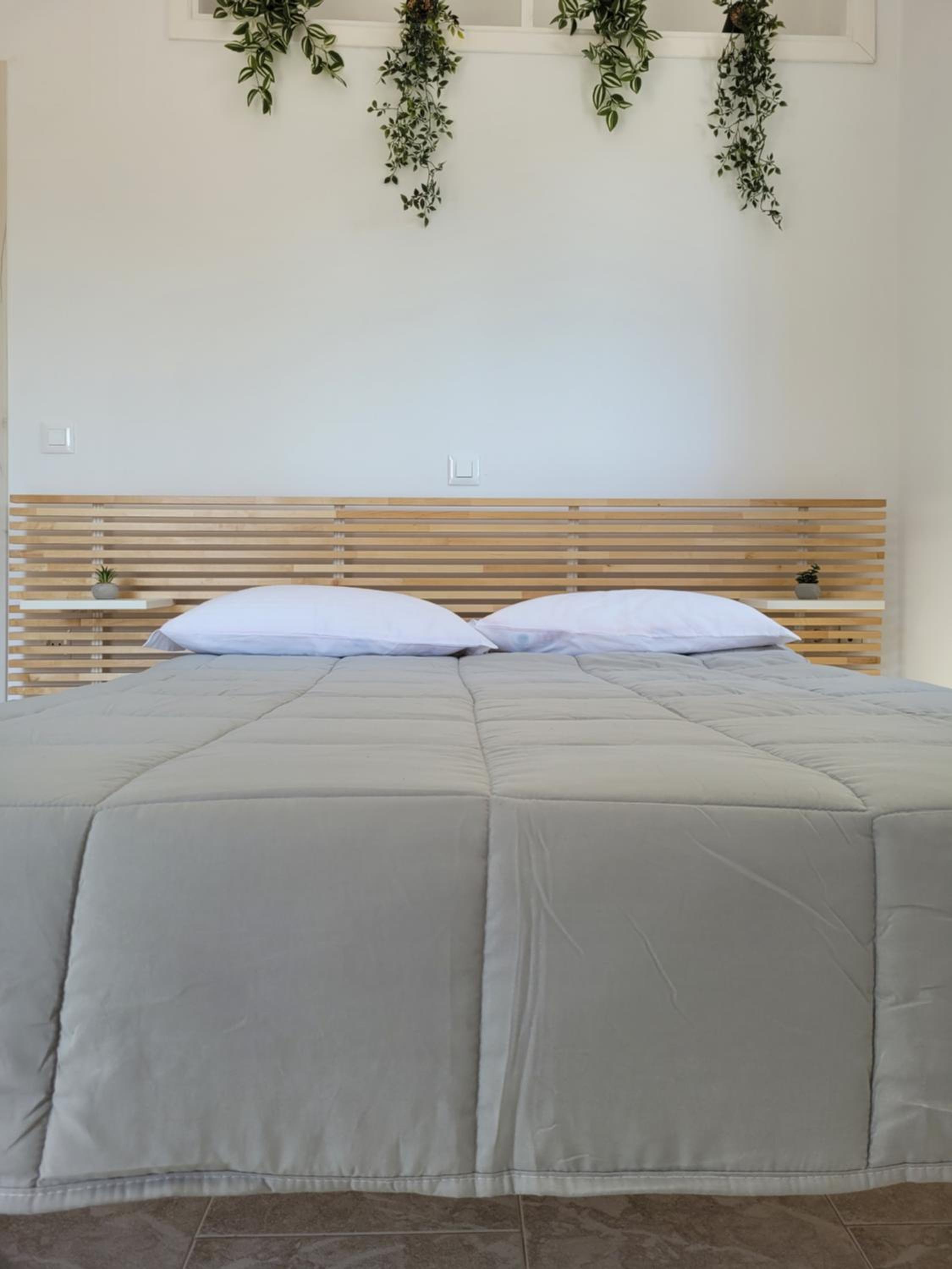 Seva's House photo 4