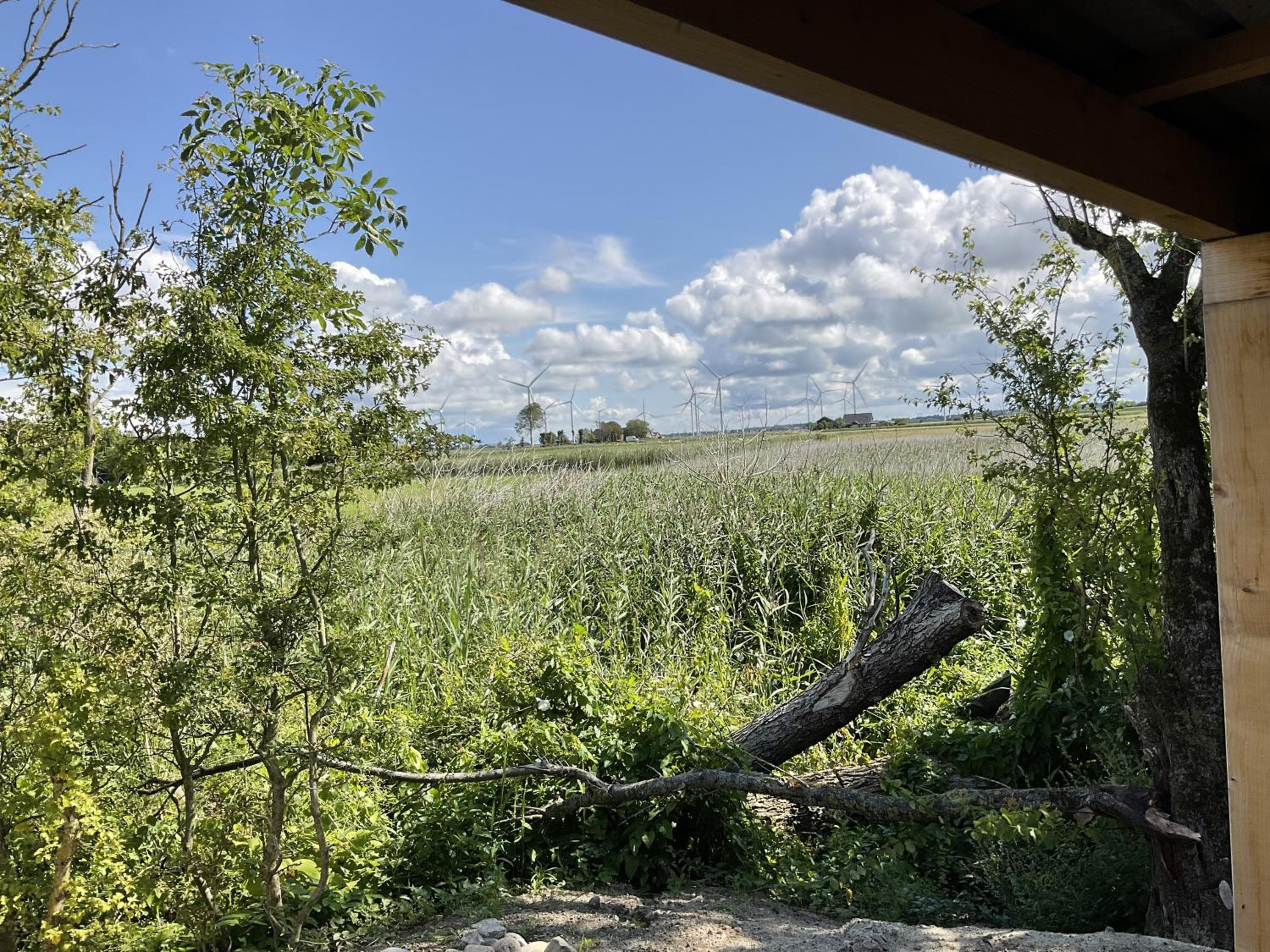 Hyggelig Am Deich - Ockholm