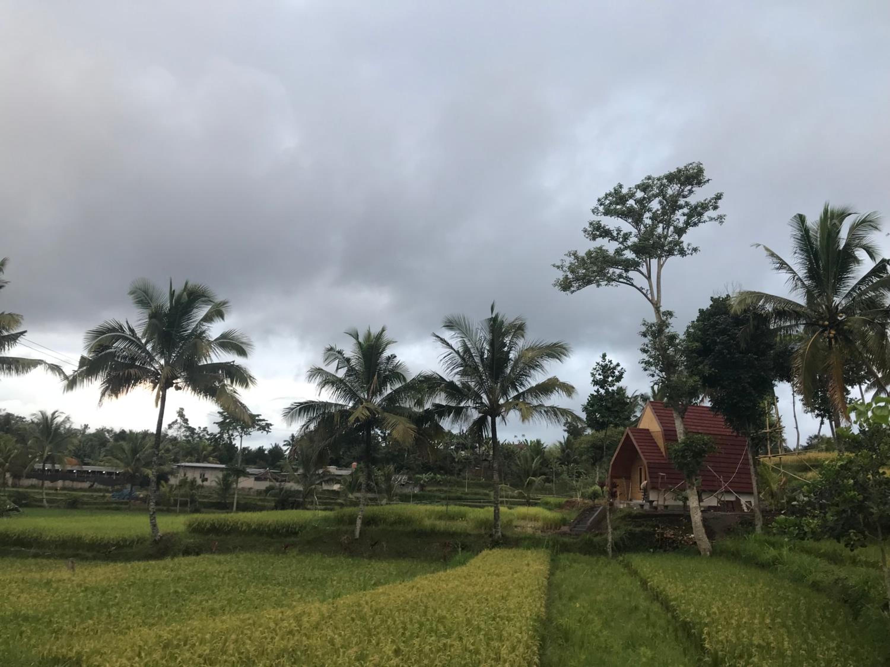 Bello Ethnic Bungalow & Resto view 4