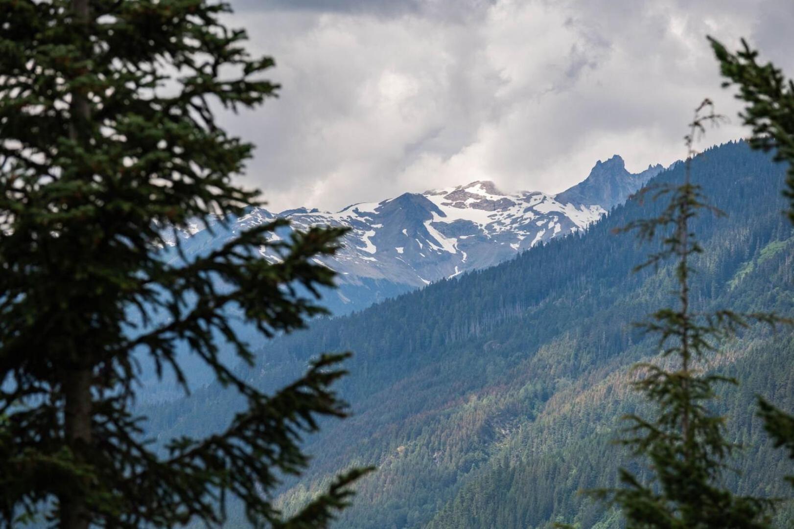 Taluswood Bluffs by Outpost Whistler