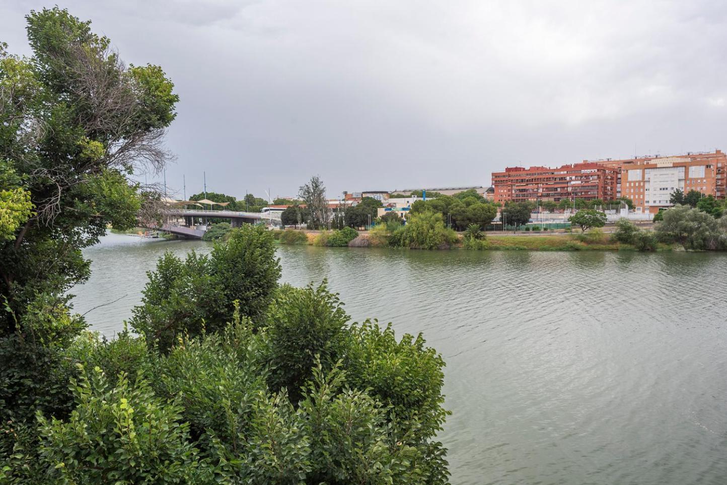 Alohamundi Castilla V-VI