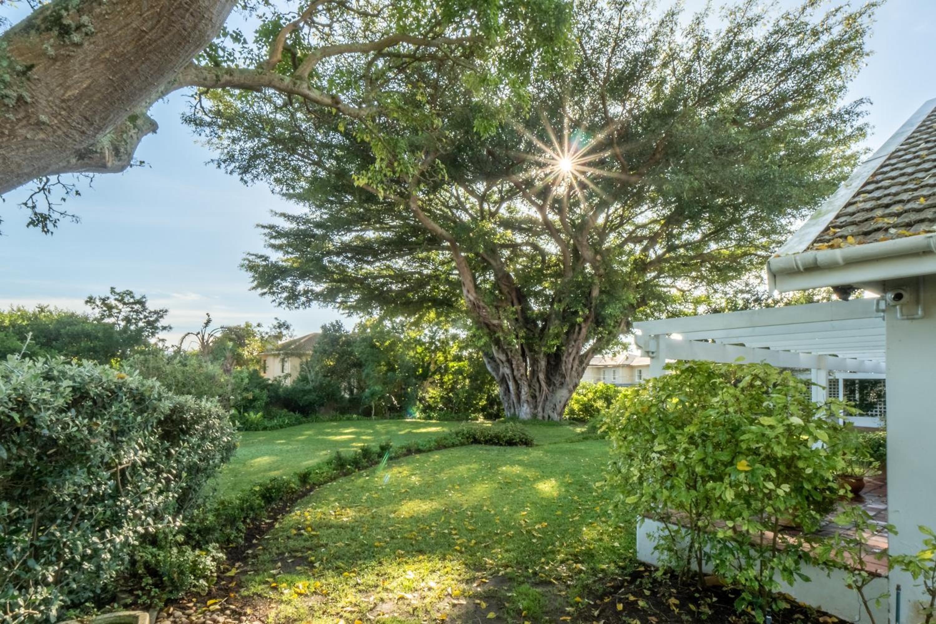 Nature Retreat