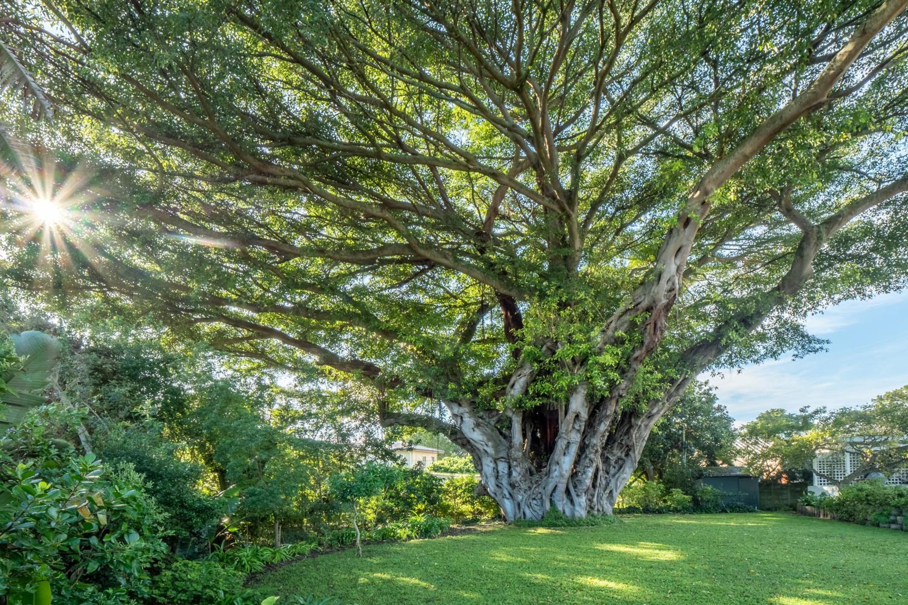 Nature Retreat