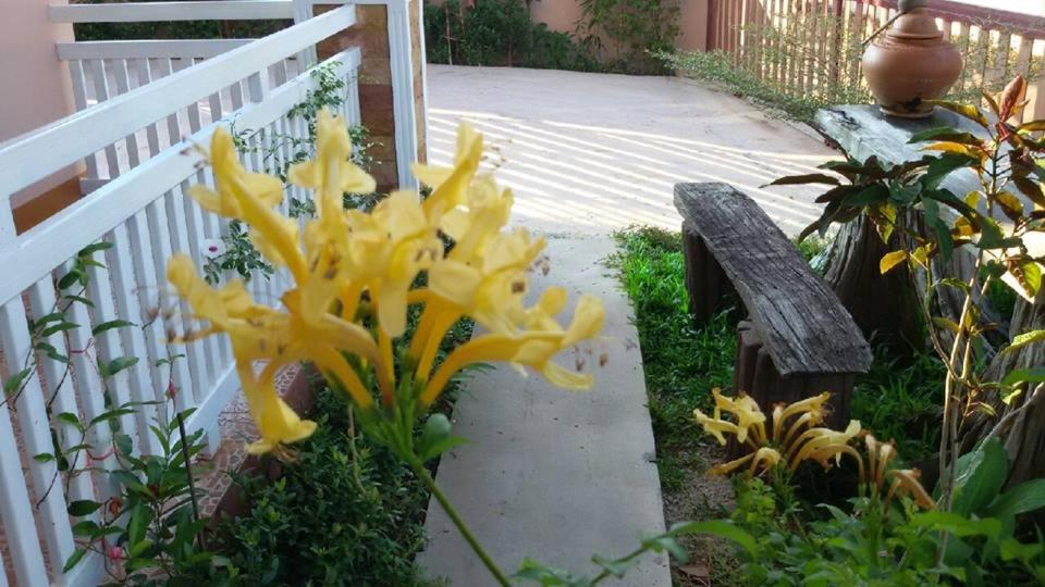 Lampang Lanna Home