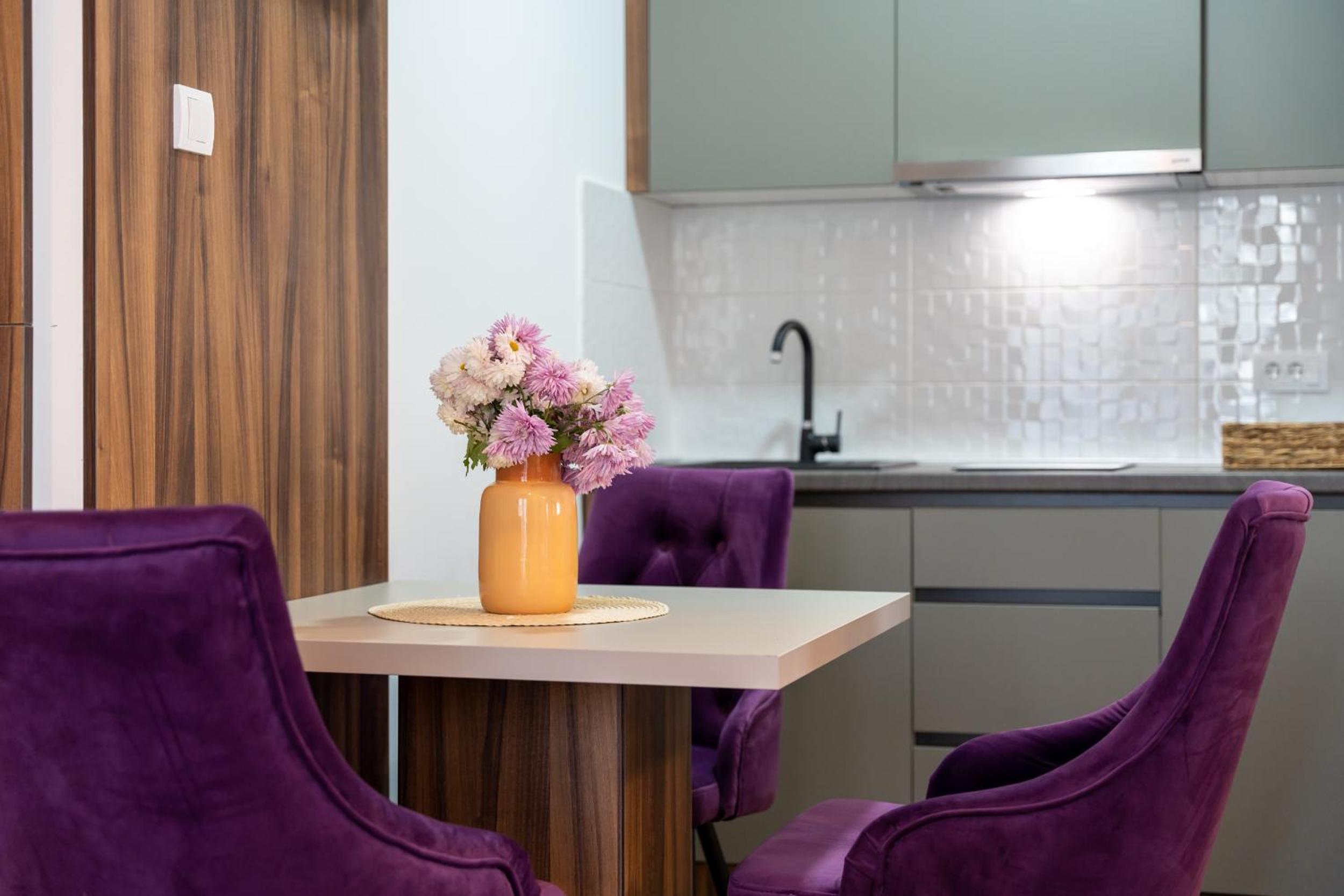 Apartmani AUTENTIK view 4