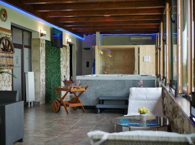 Hanu lui Gica Spa view 2