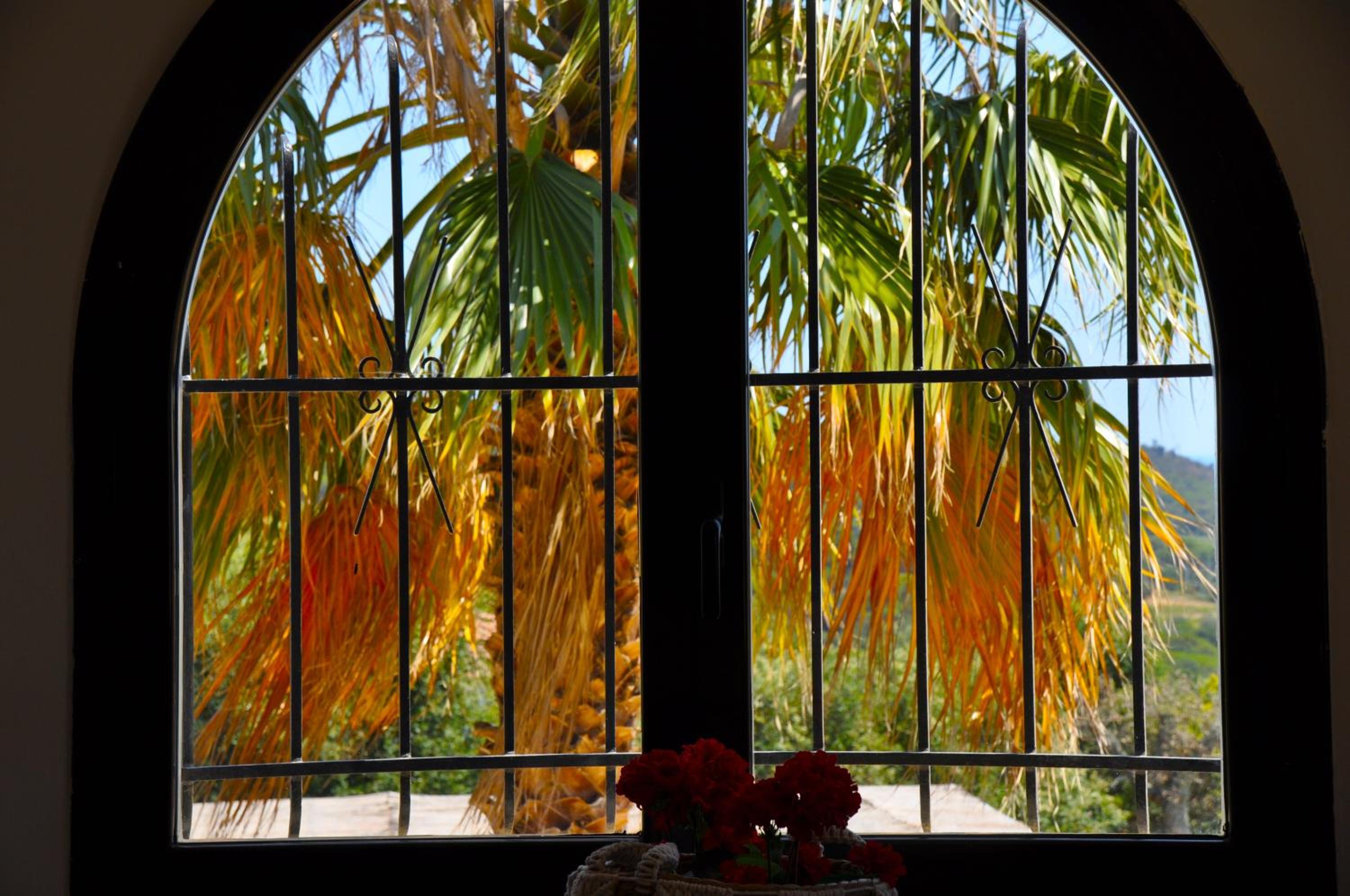 Villa Los Primos