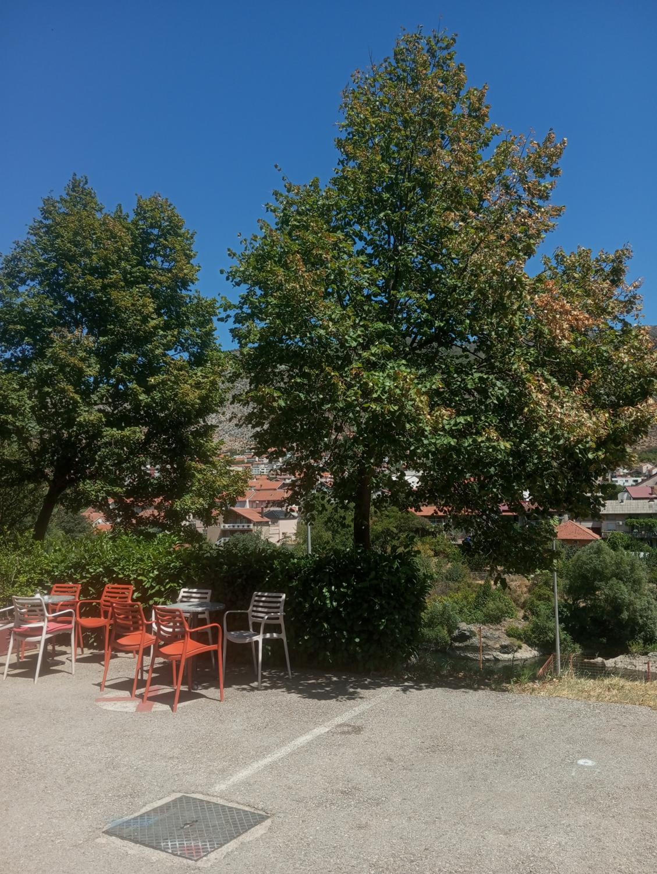 Studio Hadrovic