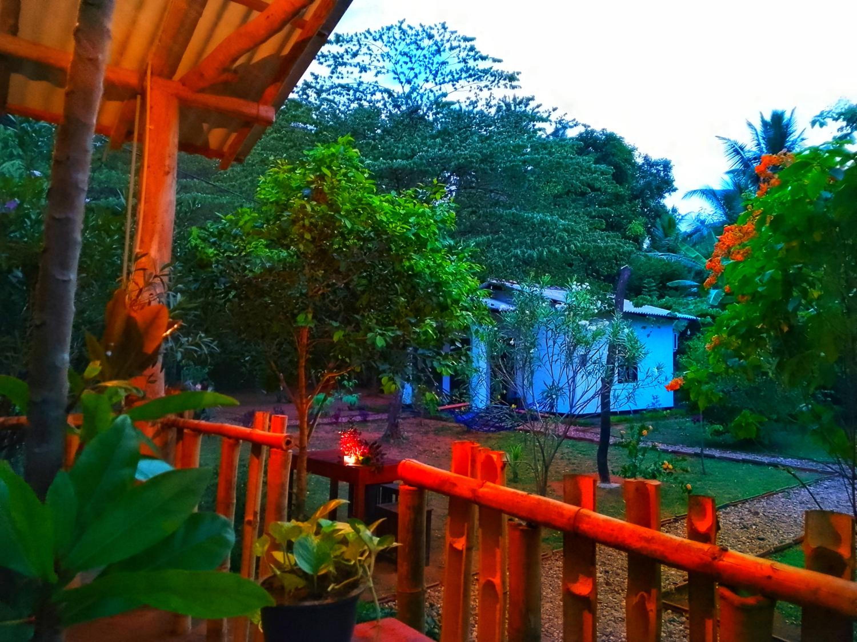 Banana Shade Cottage